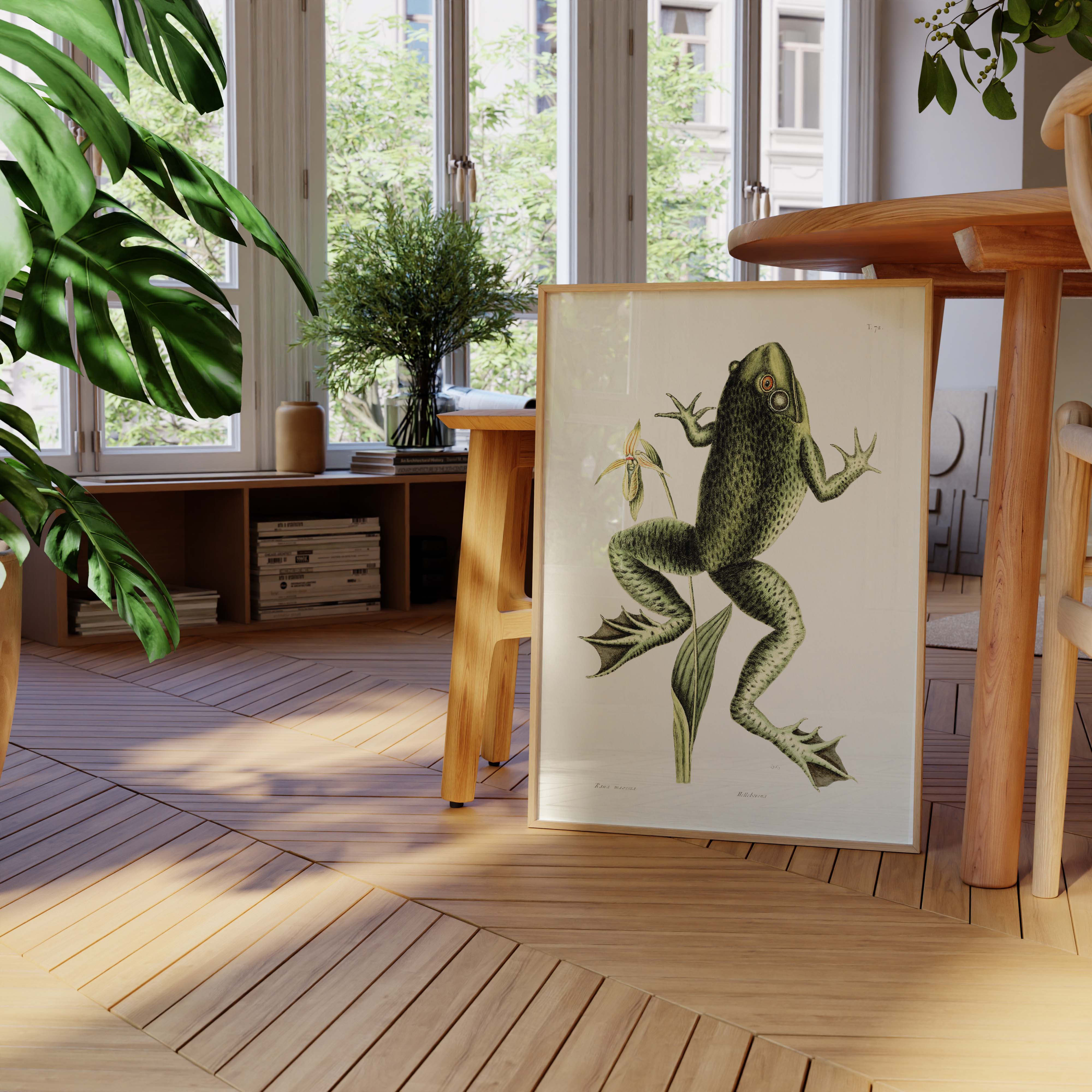Planche botanique - Grenouille Taureau-oneart.fr