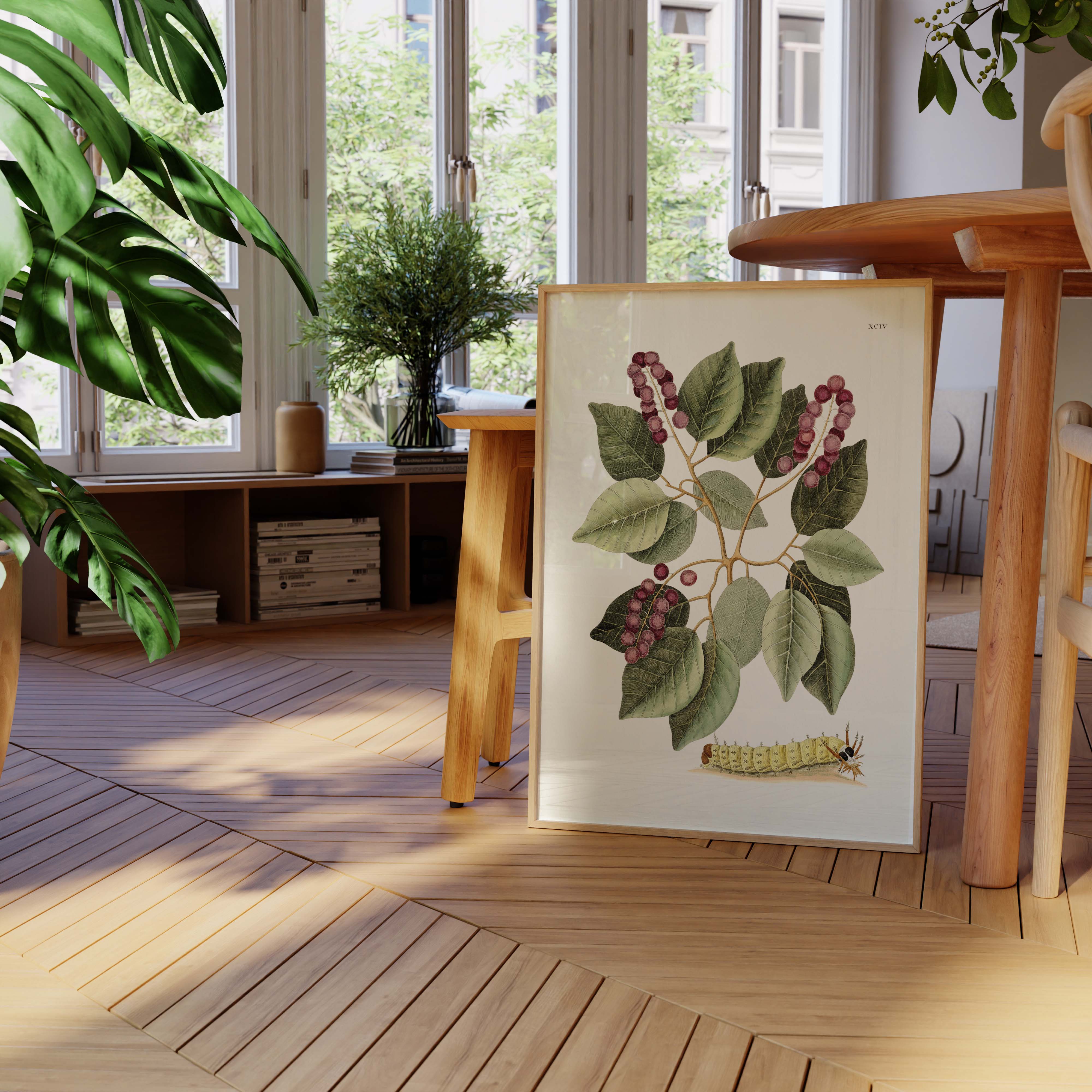 Planche botanique - Grande chenille cornue-oneart.fr