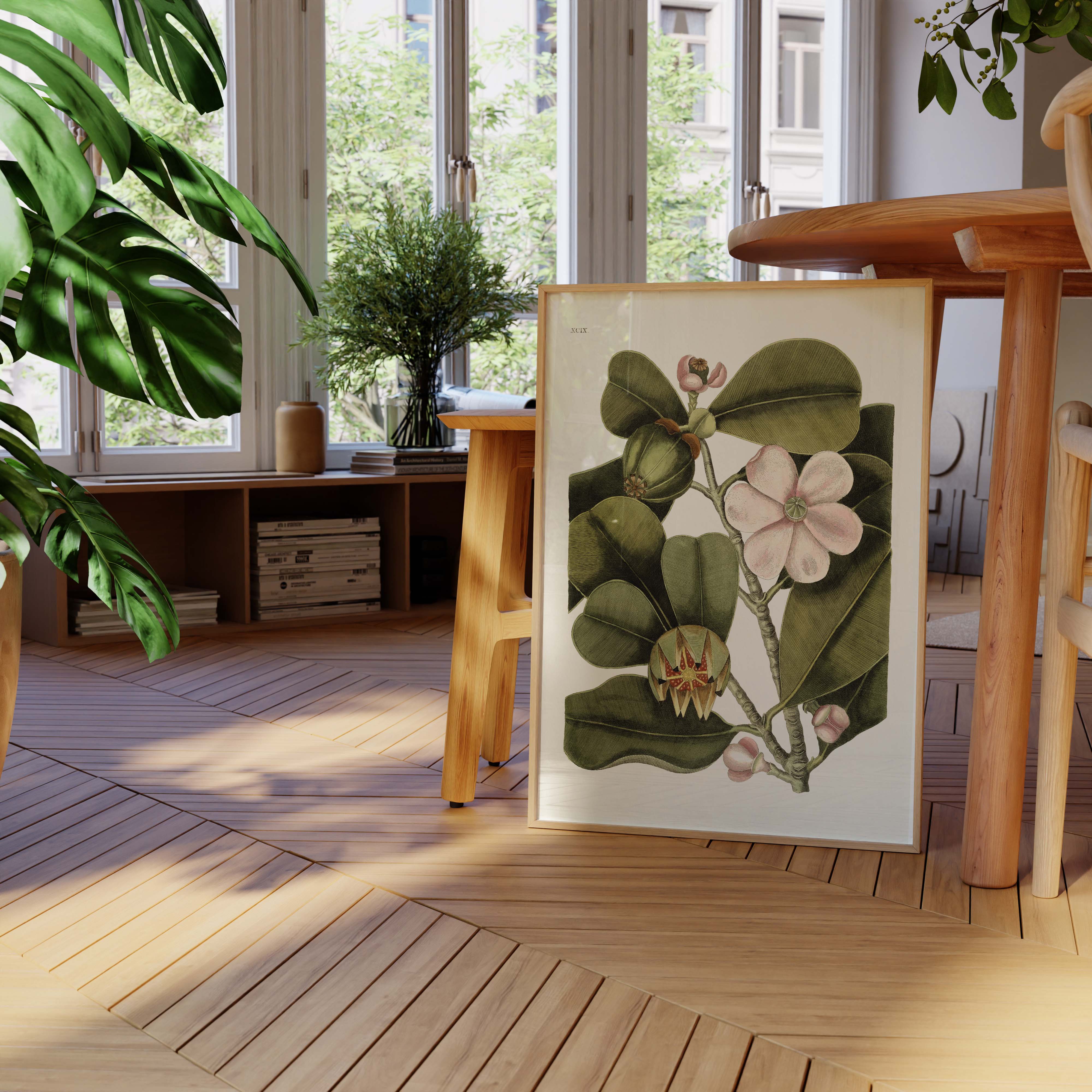 Planche botanique - Balsam-oneart.fr
