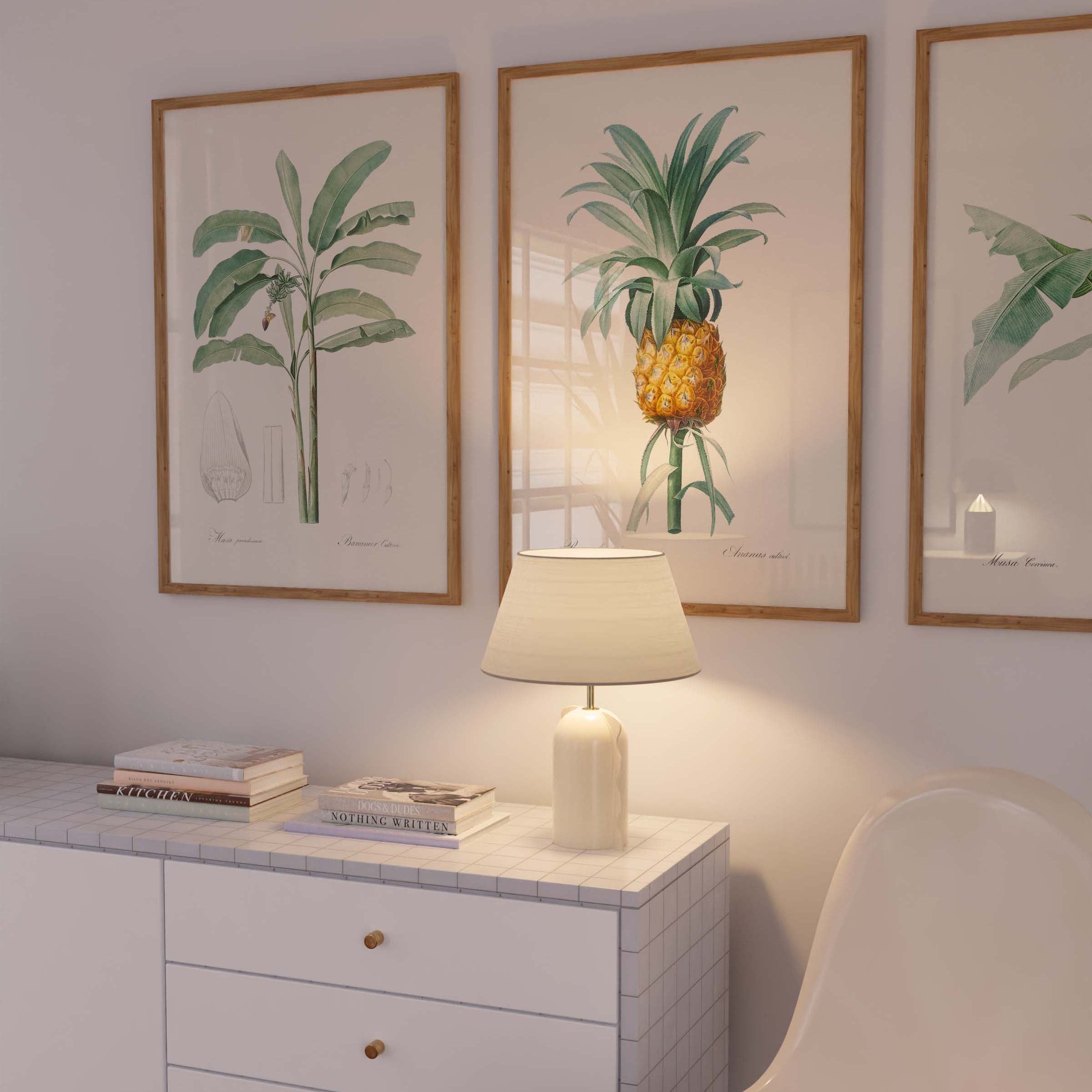 Planche botanique - Ananas cultivé-oneart.fr