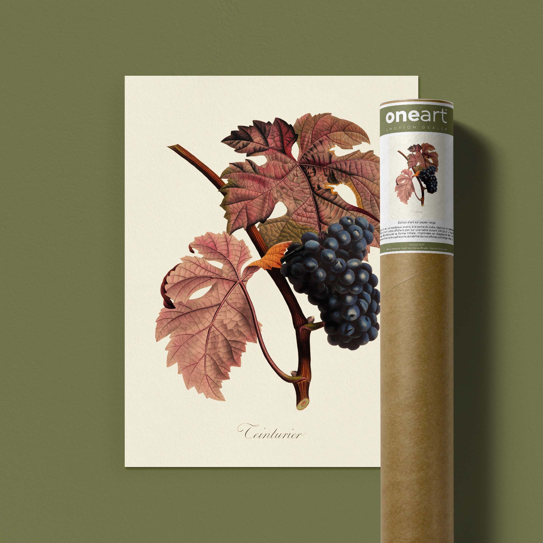 Planche botanique fruit - Teinturier-oneart.fr
