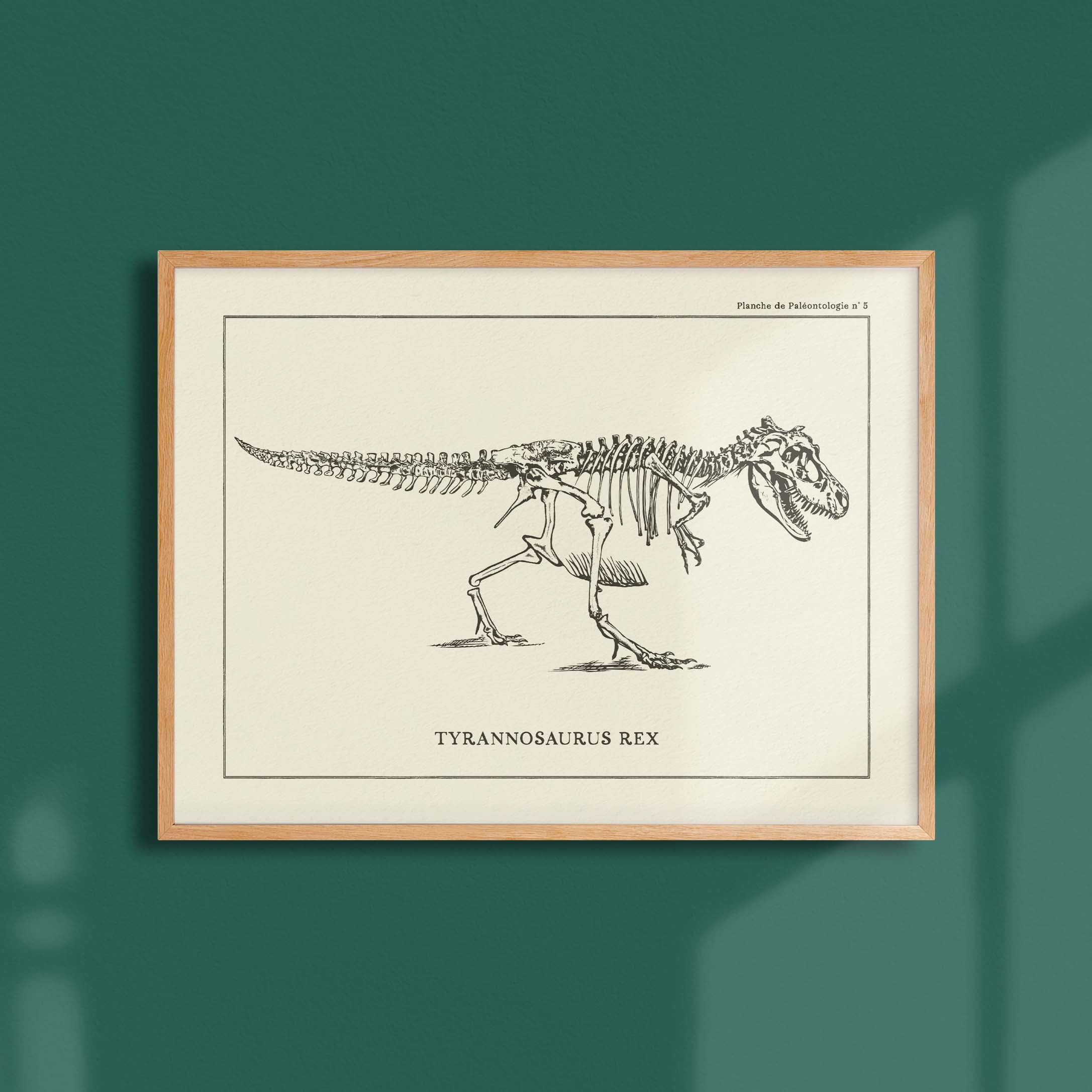 Affiche Dinosaure - Squelette de T-Rex-oneart.fr