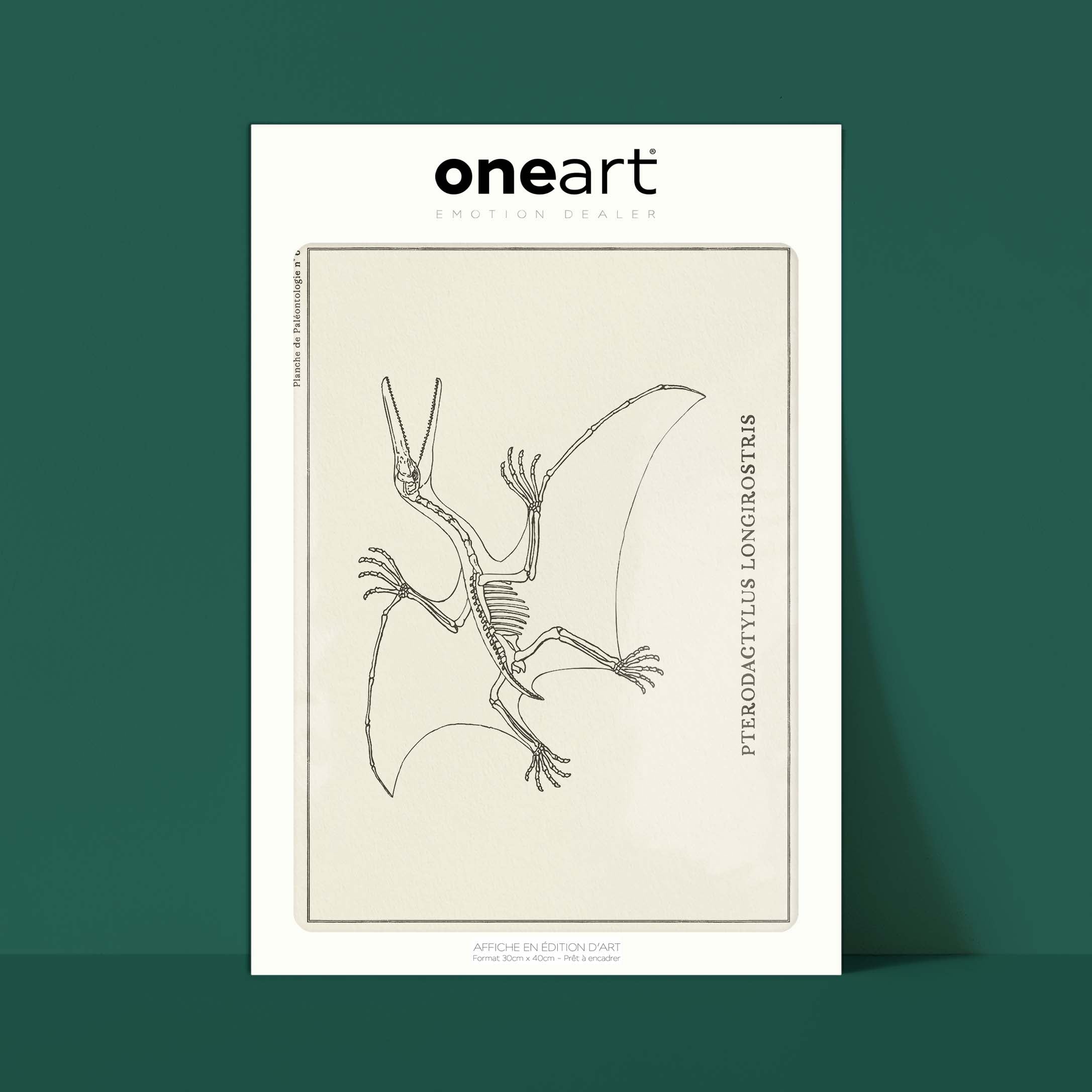 Affiche Dinosaure - Squelette de Pterodactyle-oneart.fr
