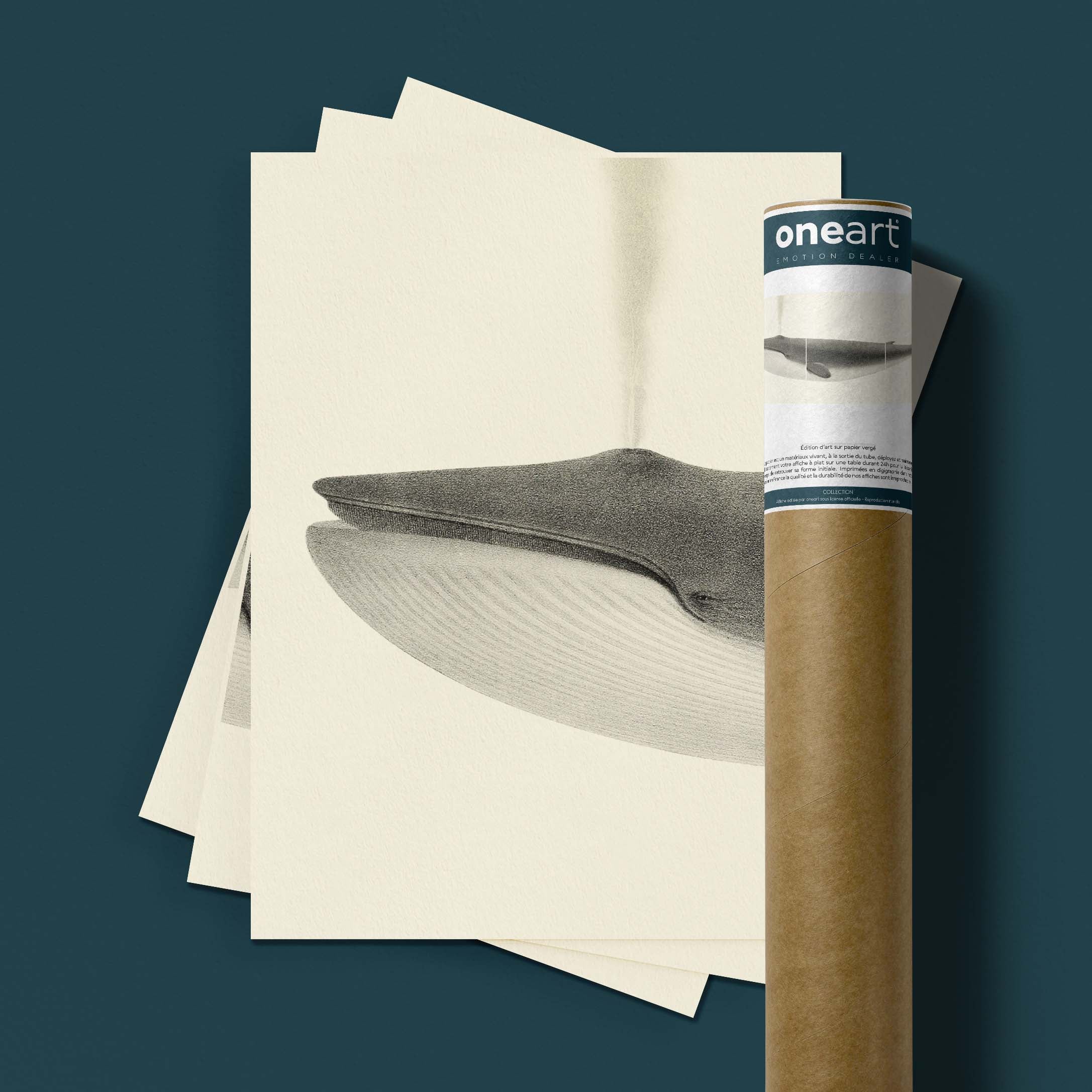 Triptyque - La baleine bleue-oneart.fr