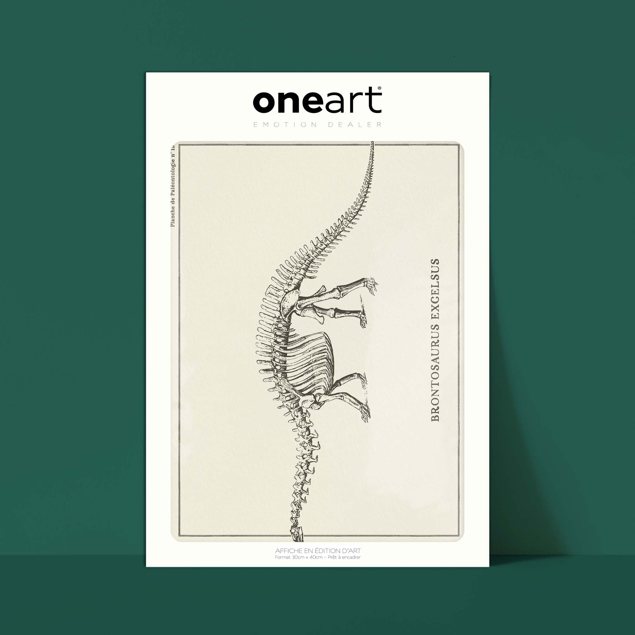 Affiche Dinosaure - Squelette de brontosaure-oneart.fr
