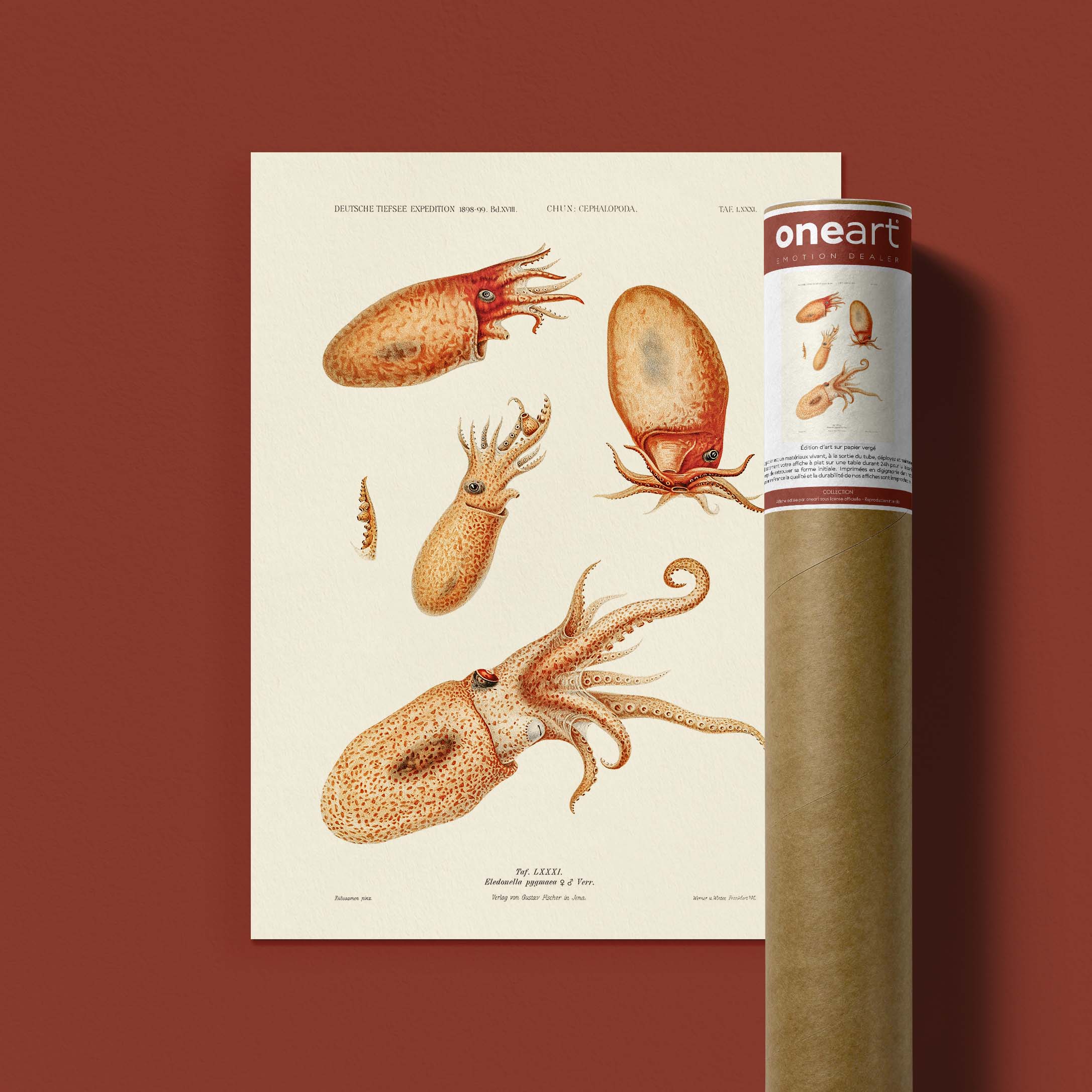 Affiche océan - Les octopodes-oneart.fr