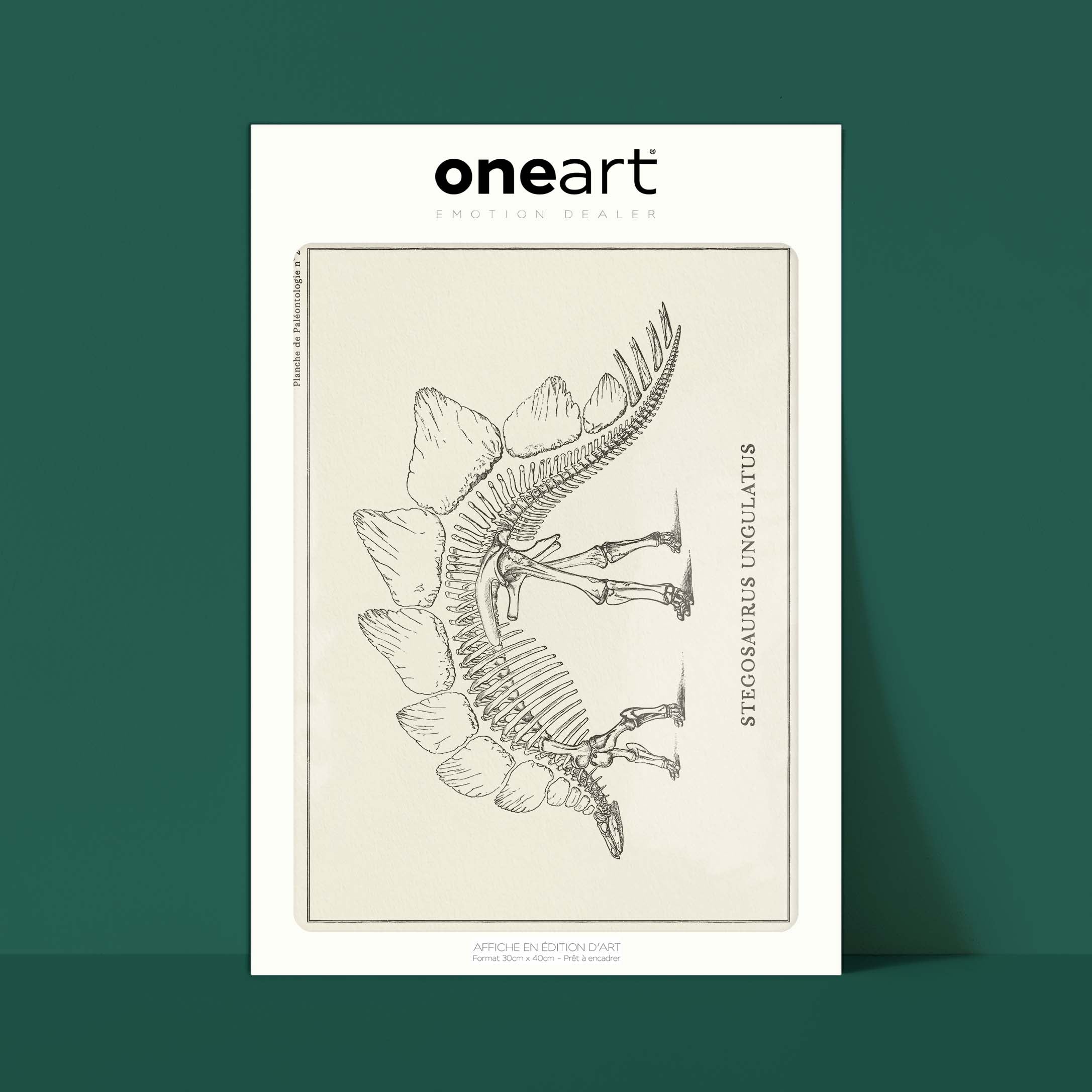 Affiche Dinosaure - Squelette de Stegosaure-oneart.fr