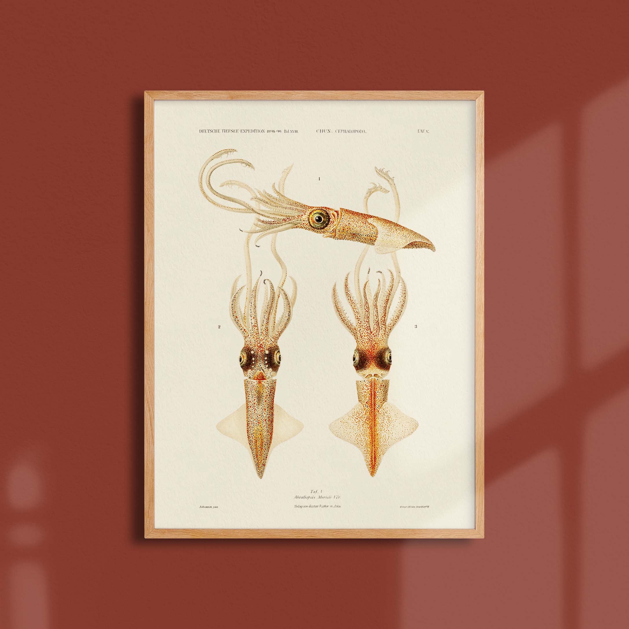 Affiche océan - Les calamars-oneart.fr