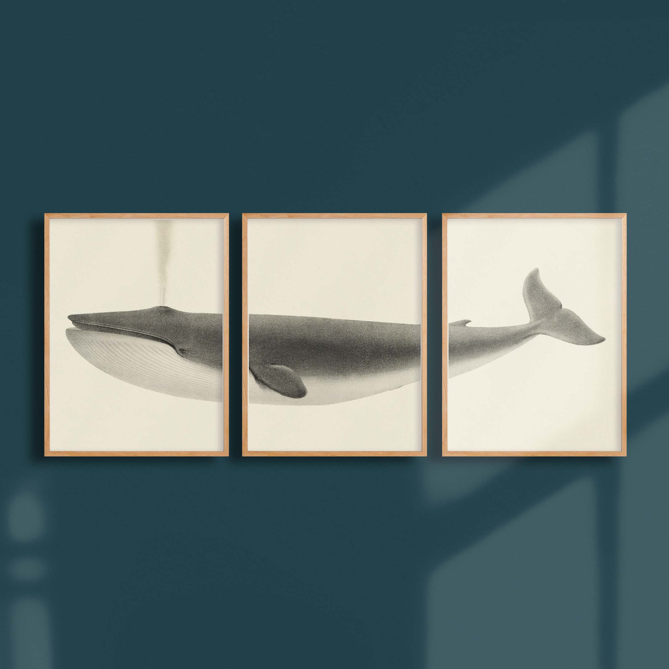 Triptyque - La baleine bleue-oneart.fr