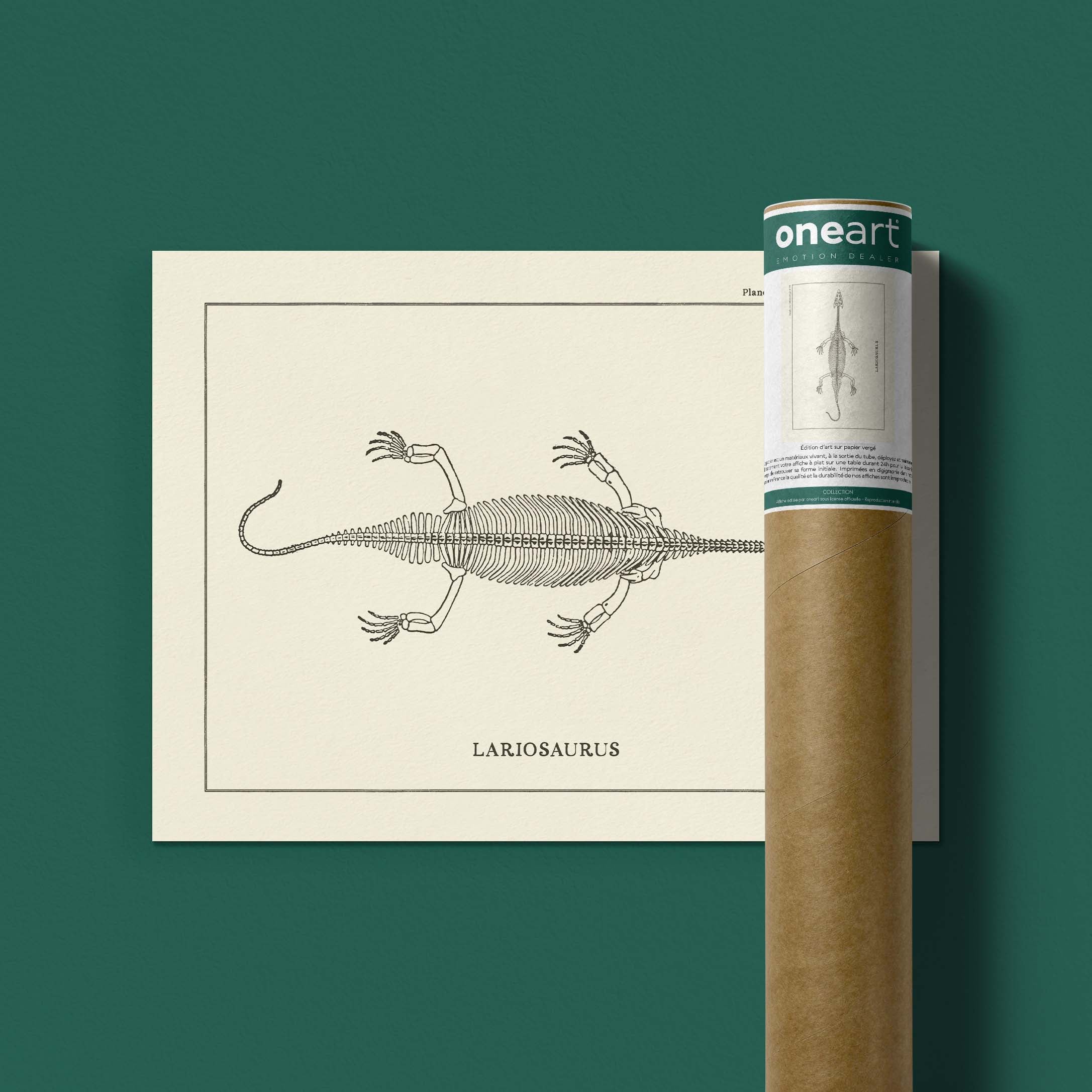 Affiche Dinosaure - Squelette de Lariosaure-oneart.fr
