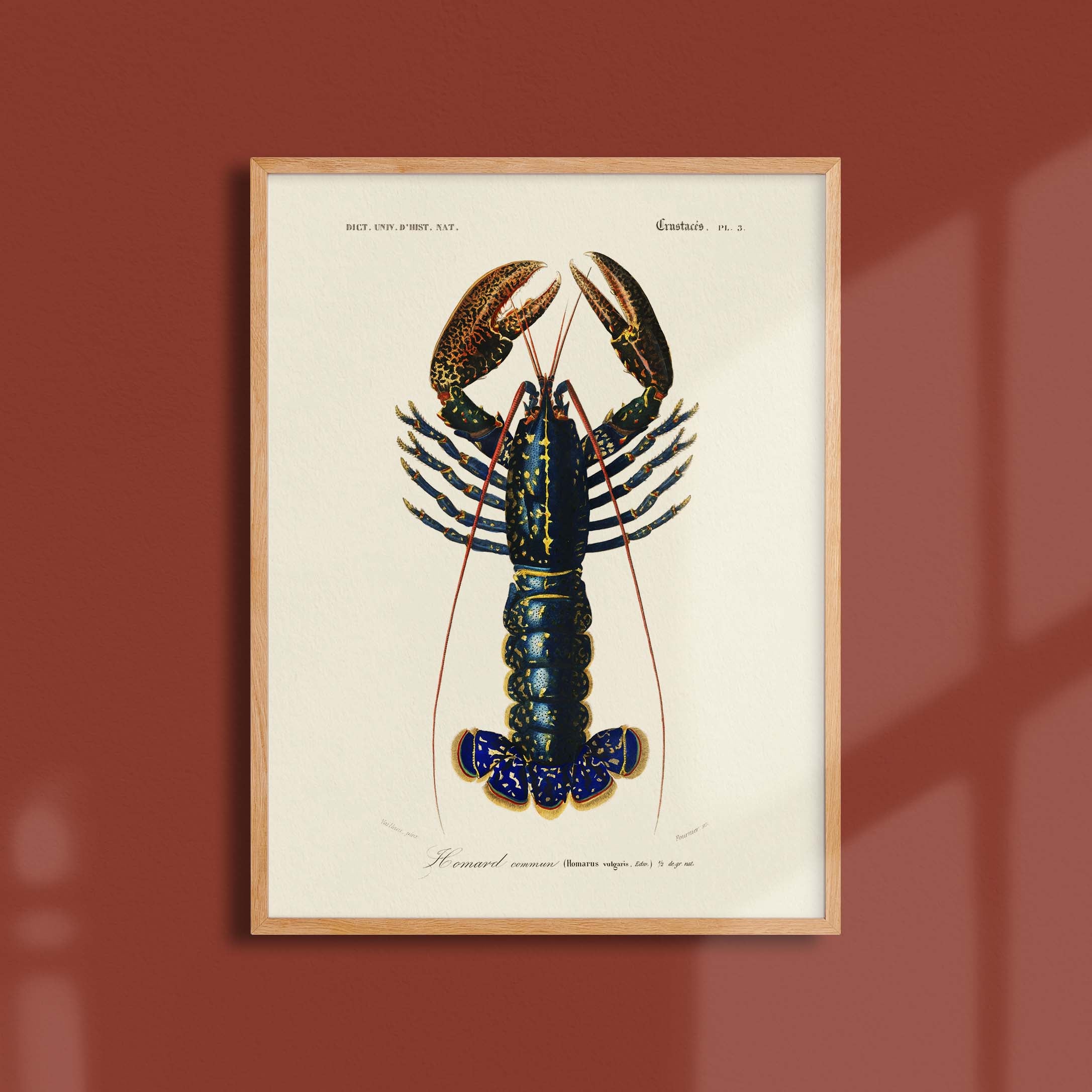 Affiche océan - Le homard-oneart.fr