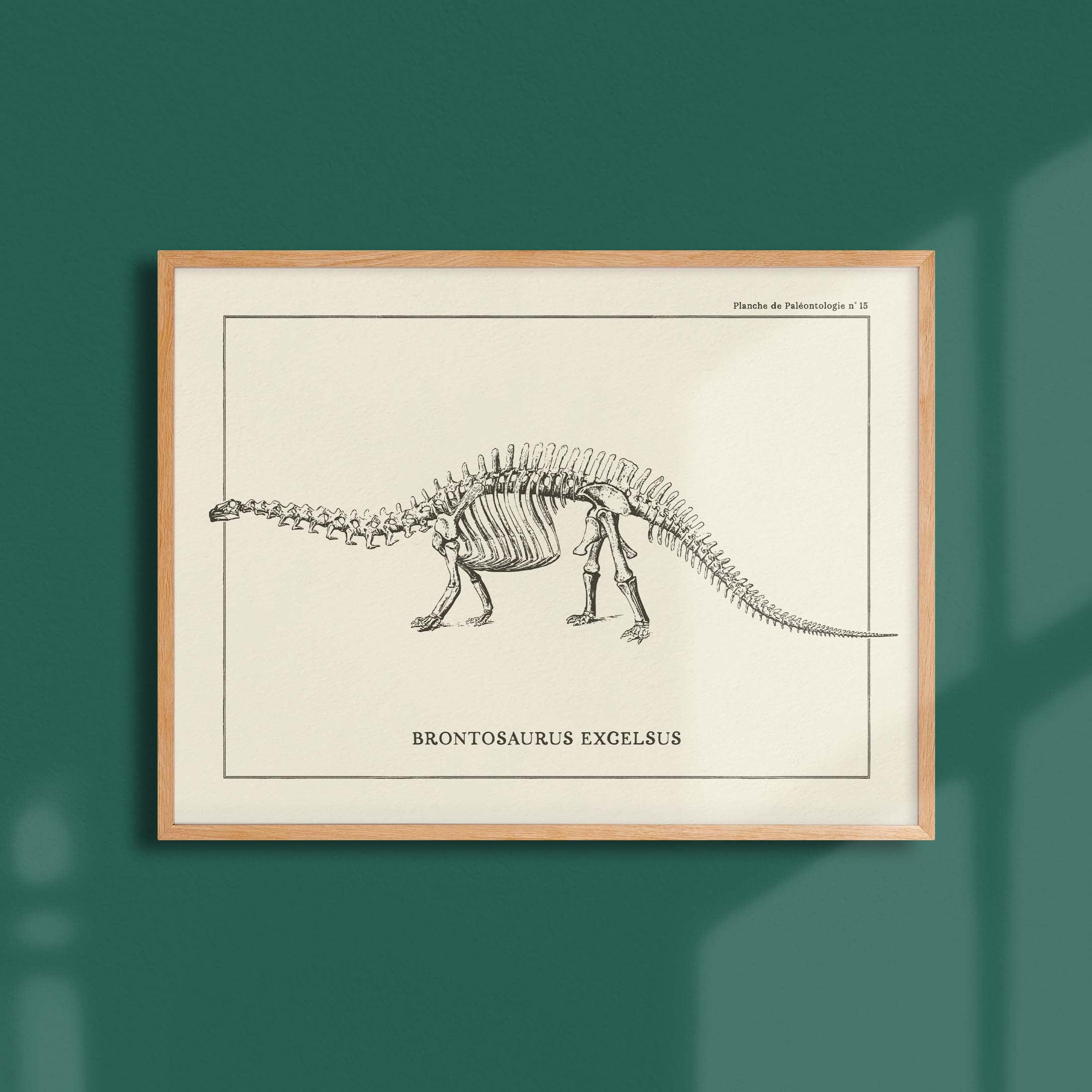 Affiche Dinosaure - Squelette de brontosaure-oneart.fr