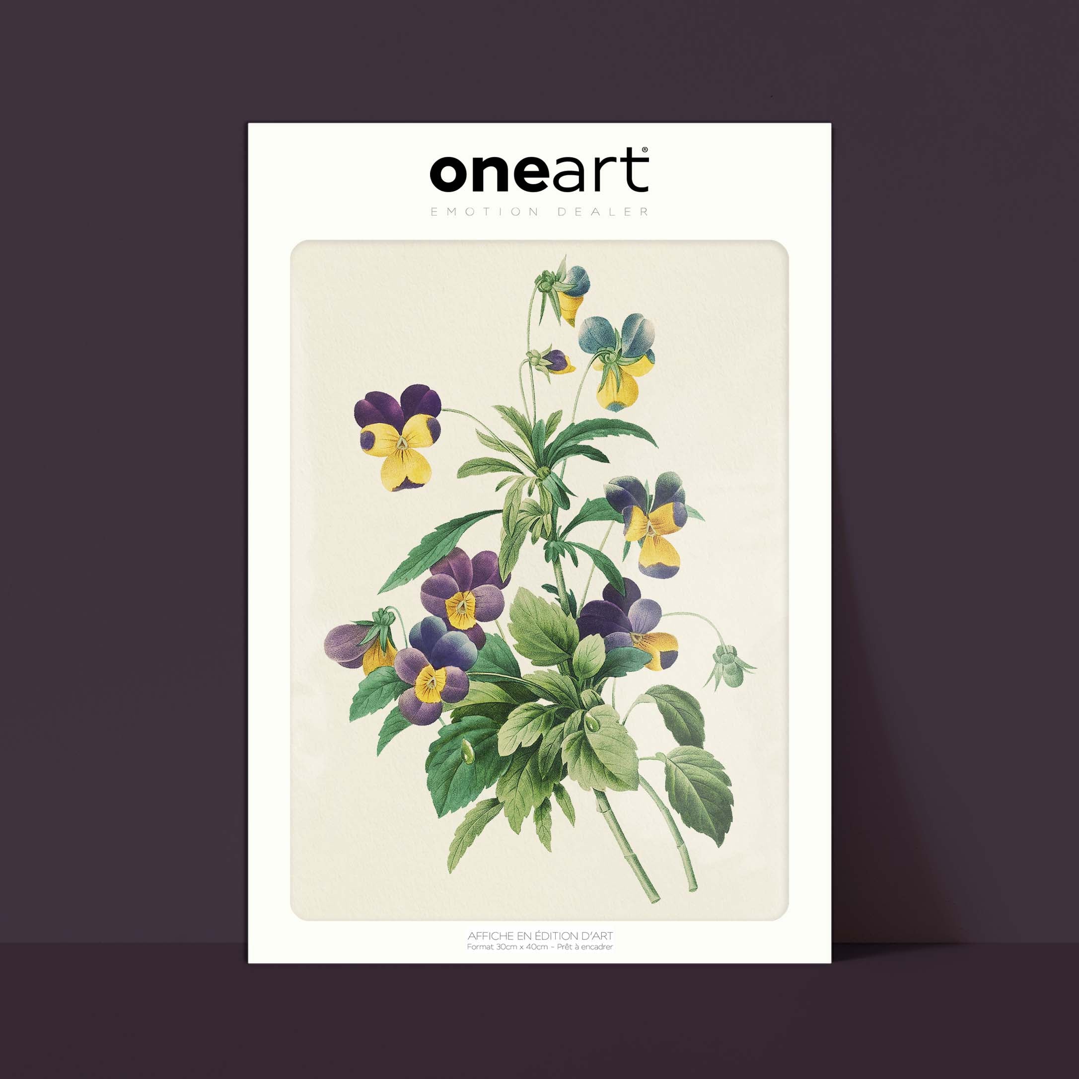 Planche botanique - La pensée-oneart.fr