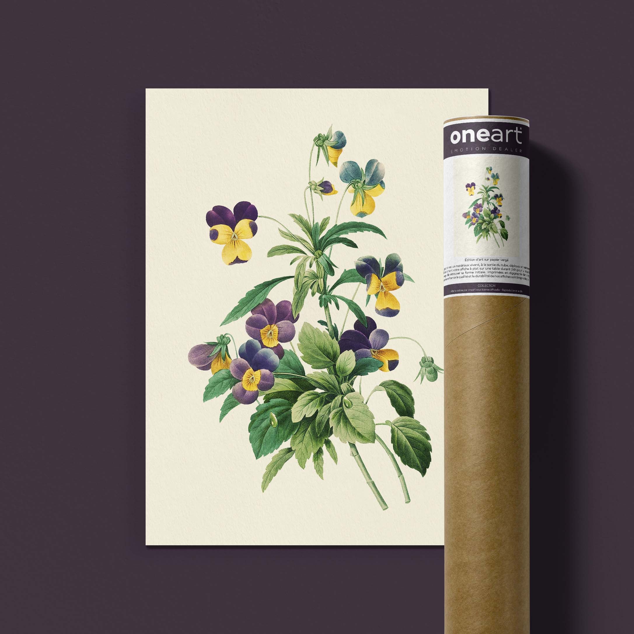 Planche botanique - La pensée-oneart.fr