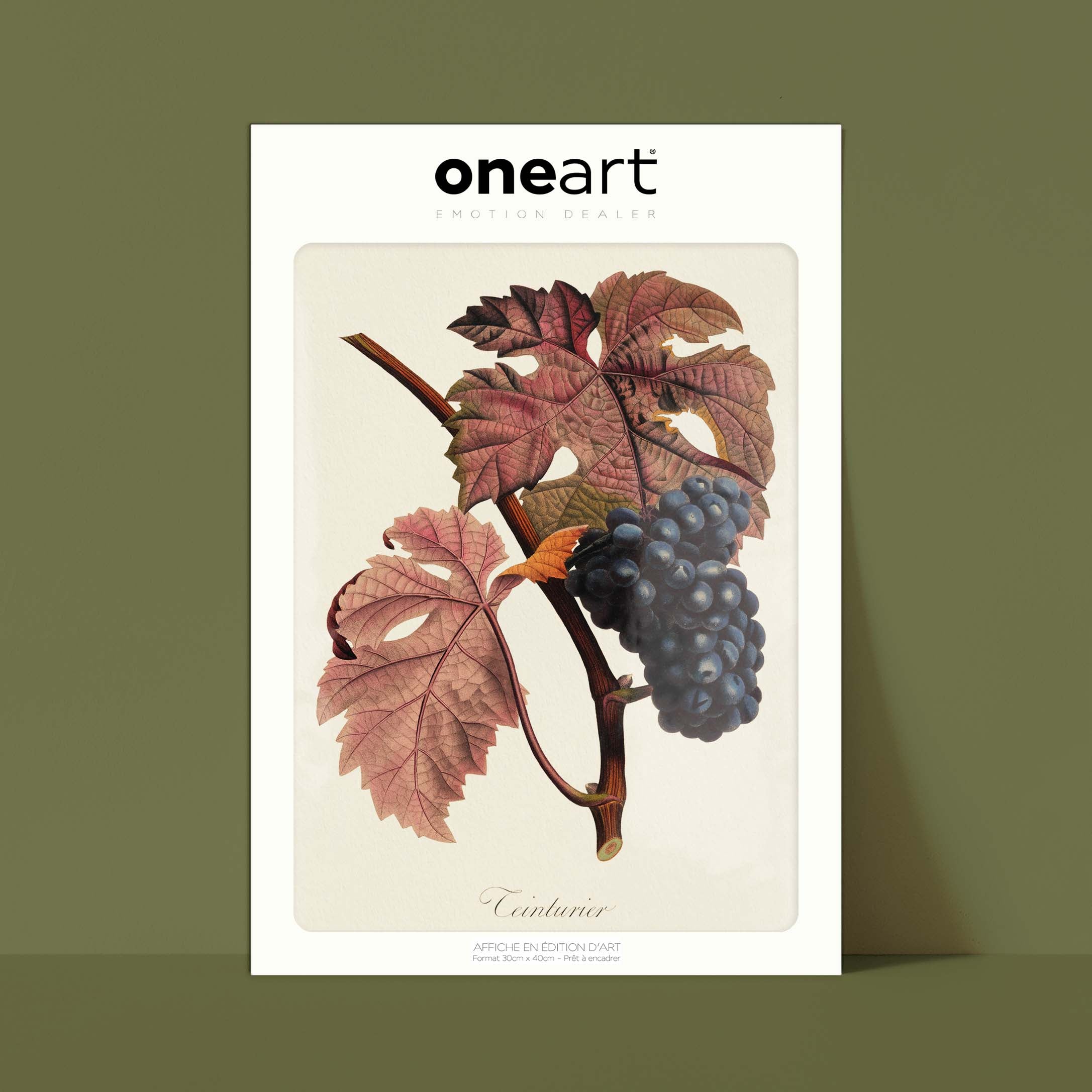 Planche botanique fruit - Teinturier-oneart.fr