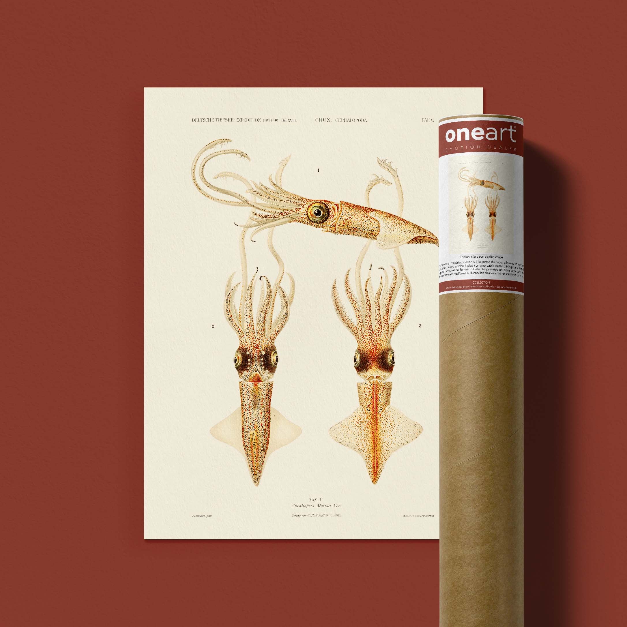 Affiche océan - Les calamars-oneart.fr