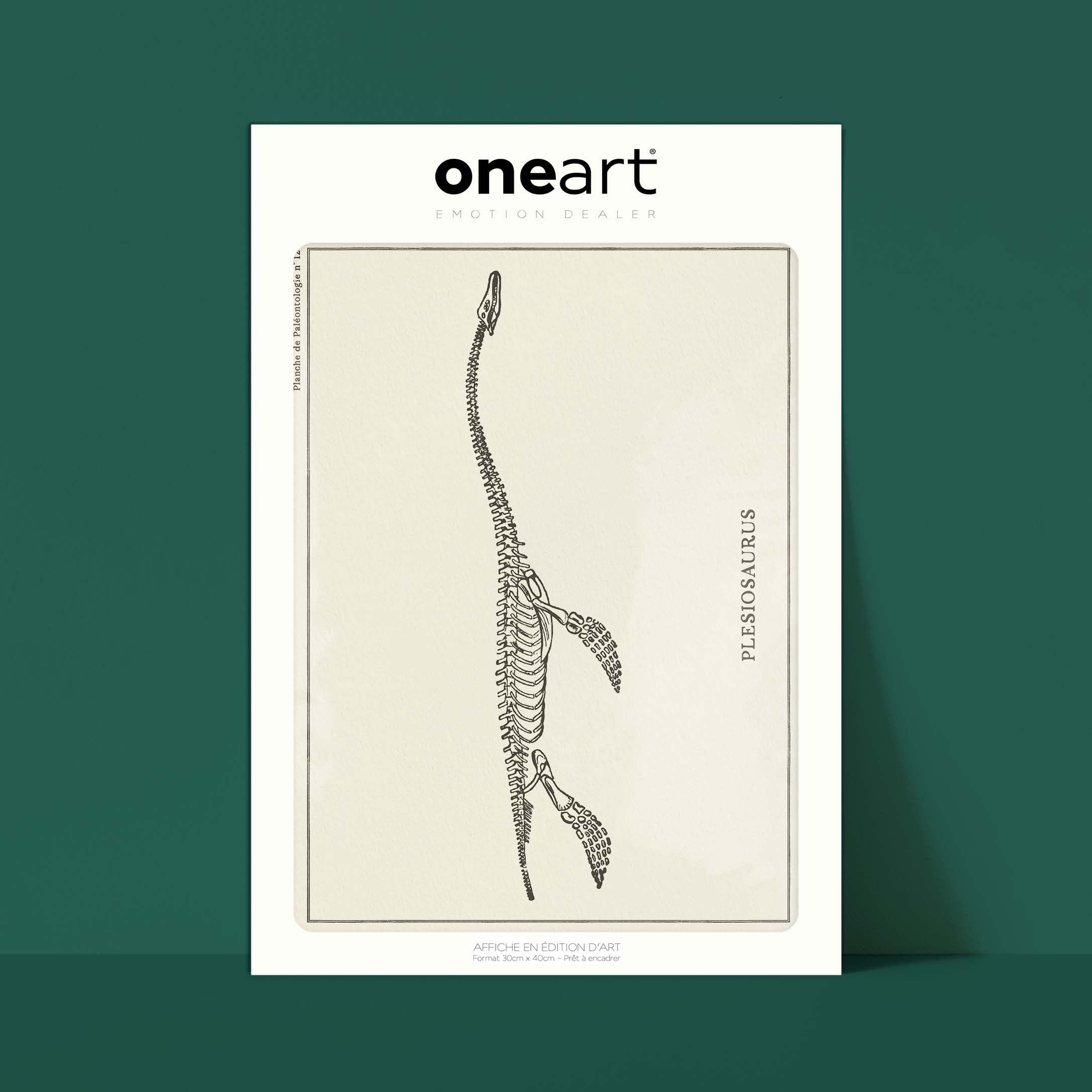 Affiche Dinosaure - Squelette de plesiosaure-oneart.fr