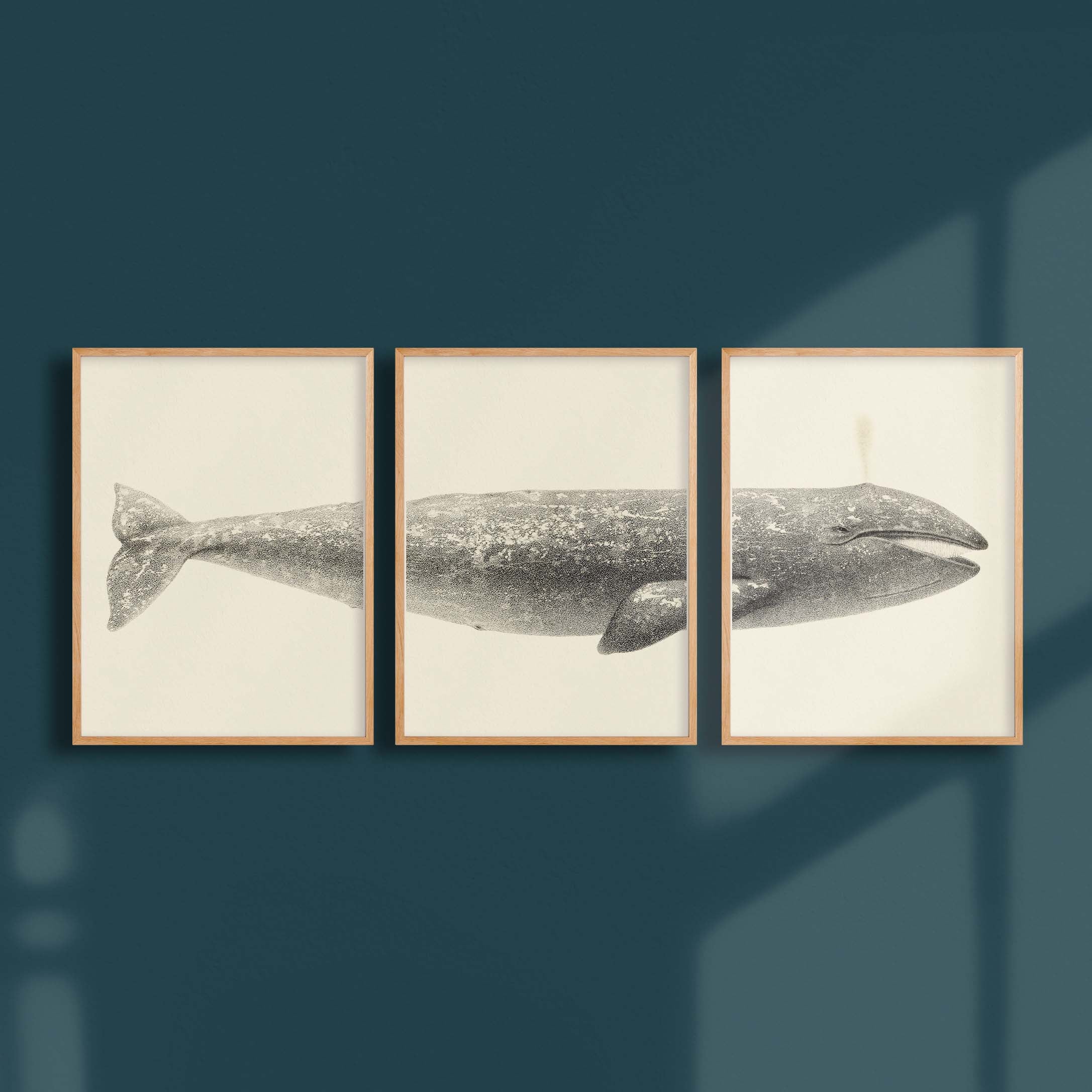 Triptyque - La baleine grise-oneart.fr