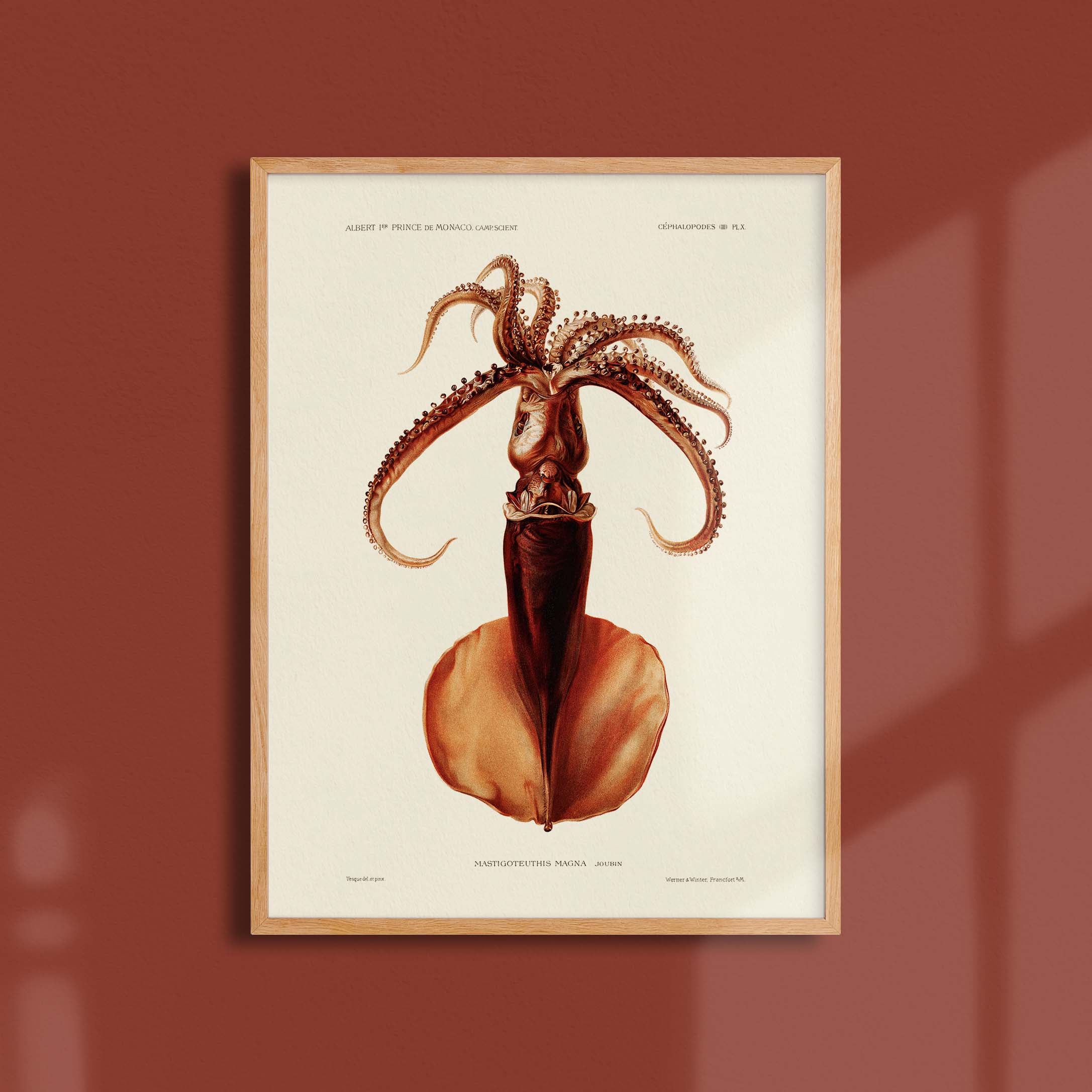 Affiche océan - Le calamar-oneart.fr