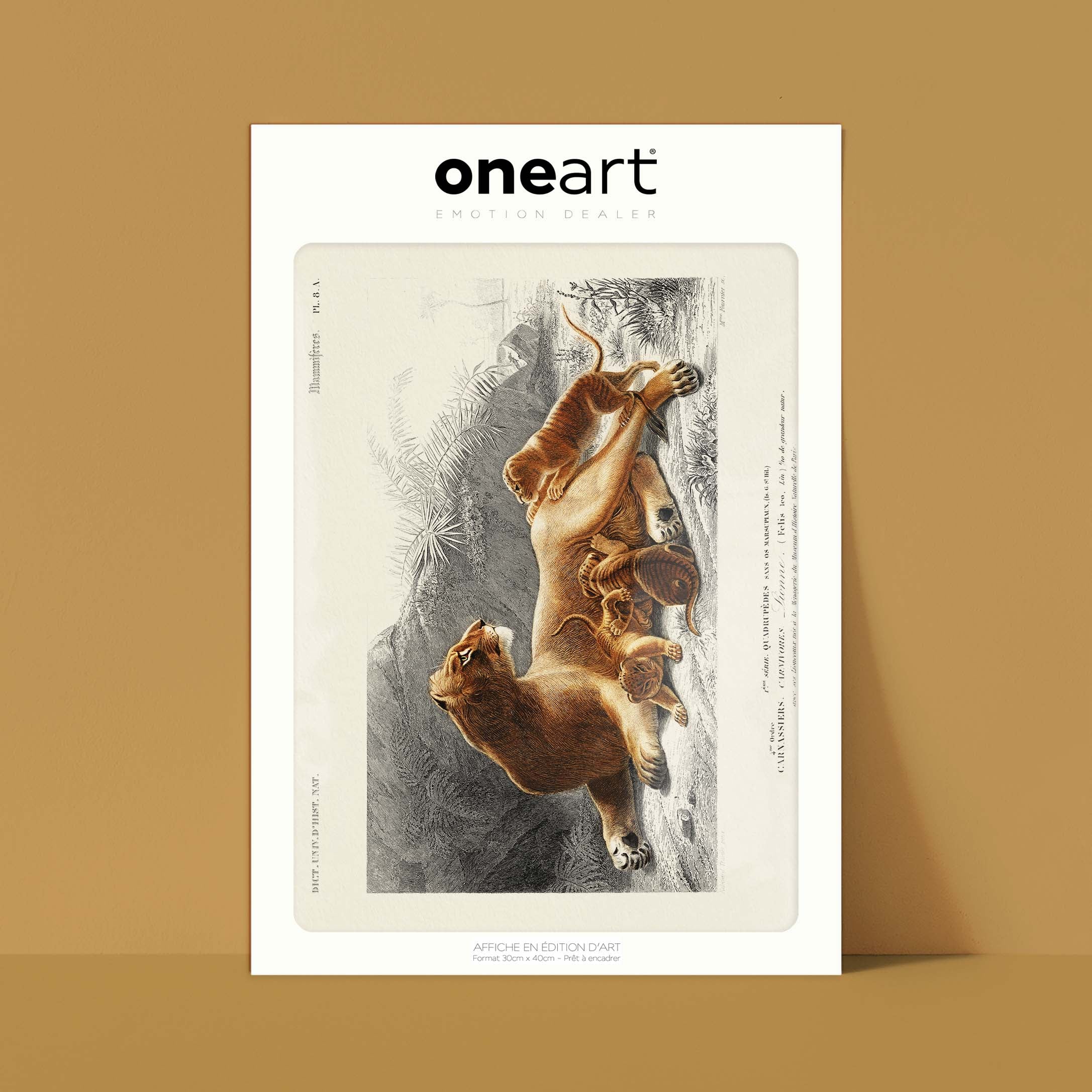 Planche de zoologie - La lionne et ses lionceaux-oneart.fr