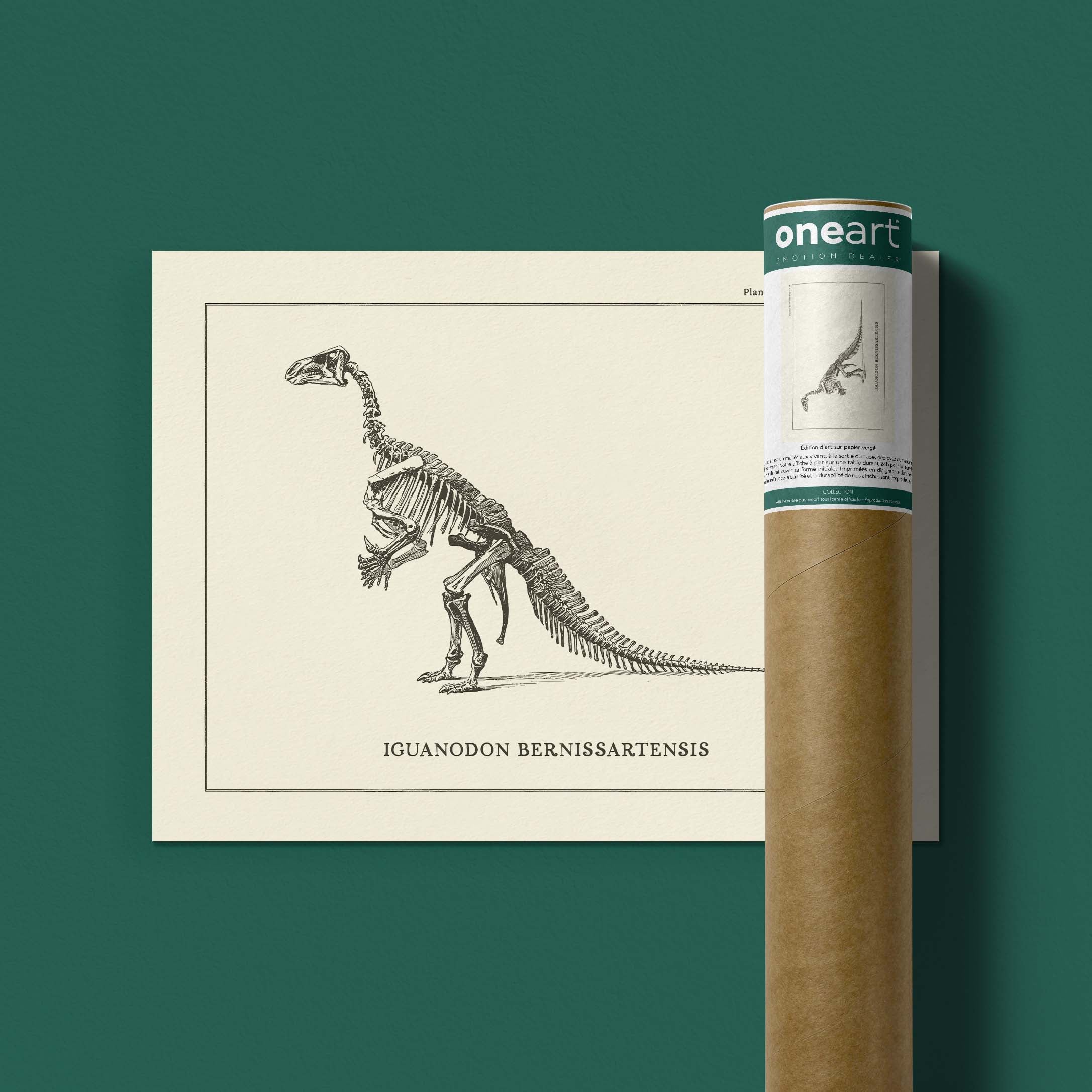 Affiche Dinosaure - Squelette d'iguanodon-oneart.fr