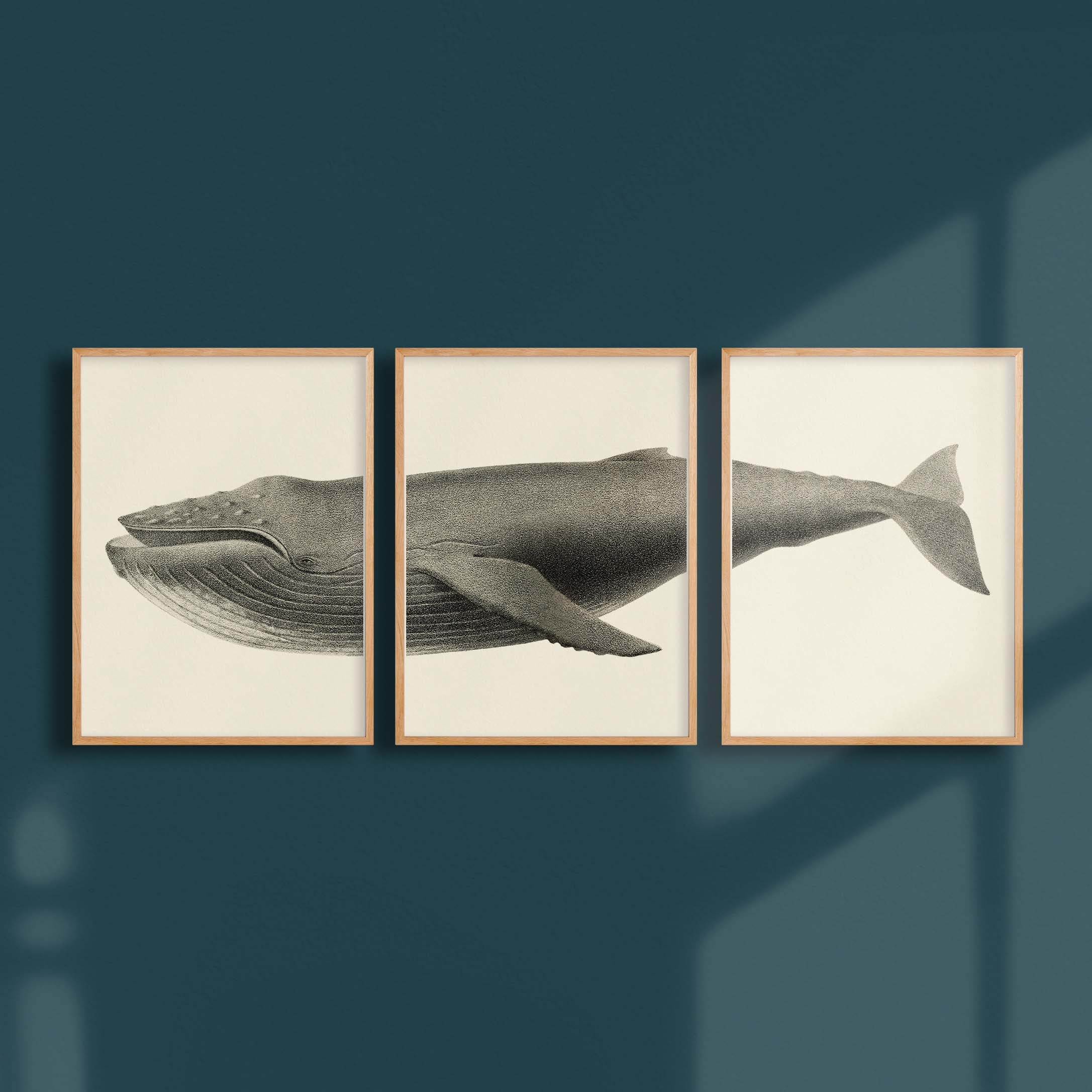 Triptyque - La baleine à bosse-oneart.fr
