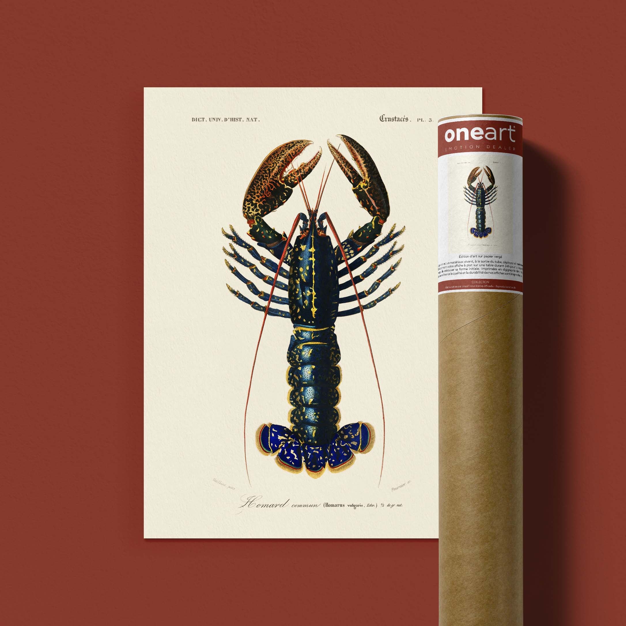 Affiche océan - Le homard-oneart.fr