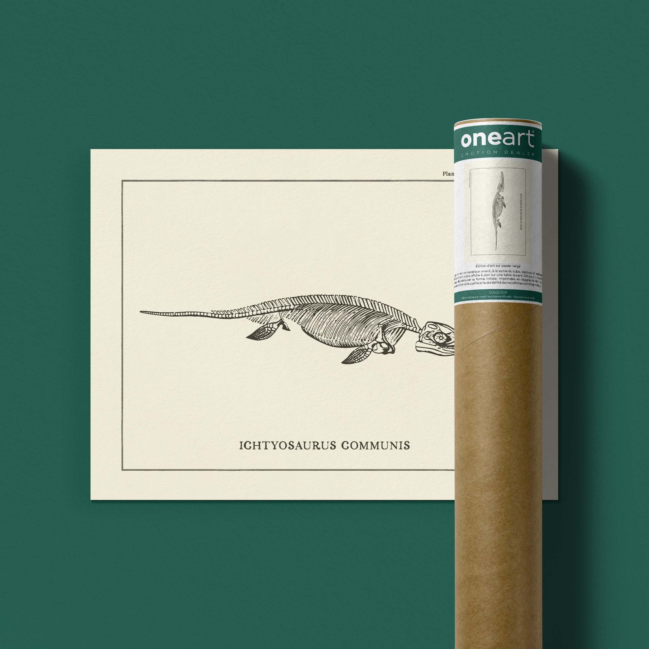 Affiche Dinosaure - Squelette d'ichtyosaure-oneart.fr
