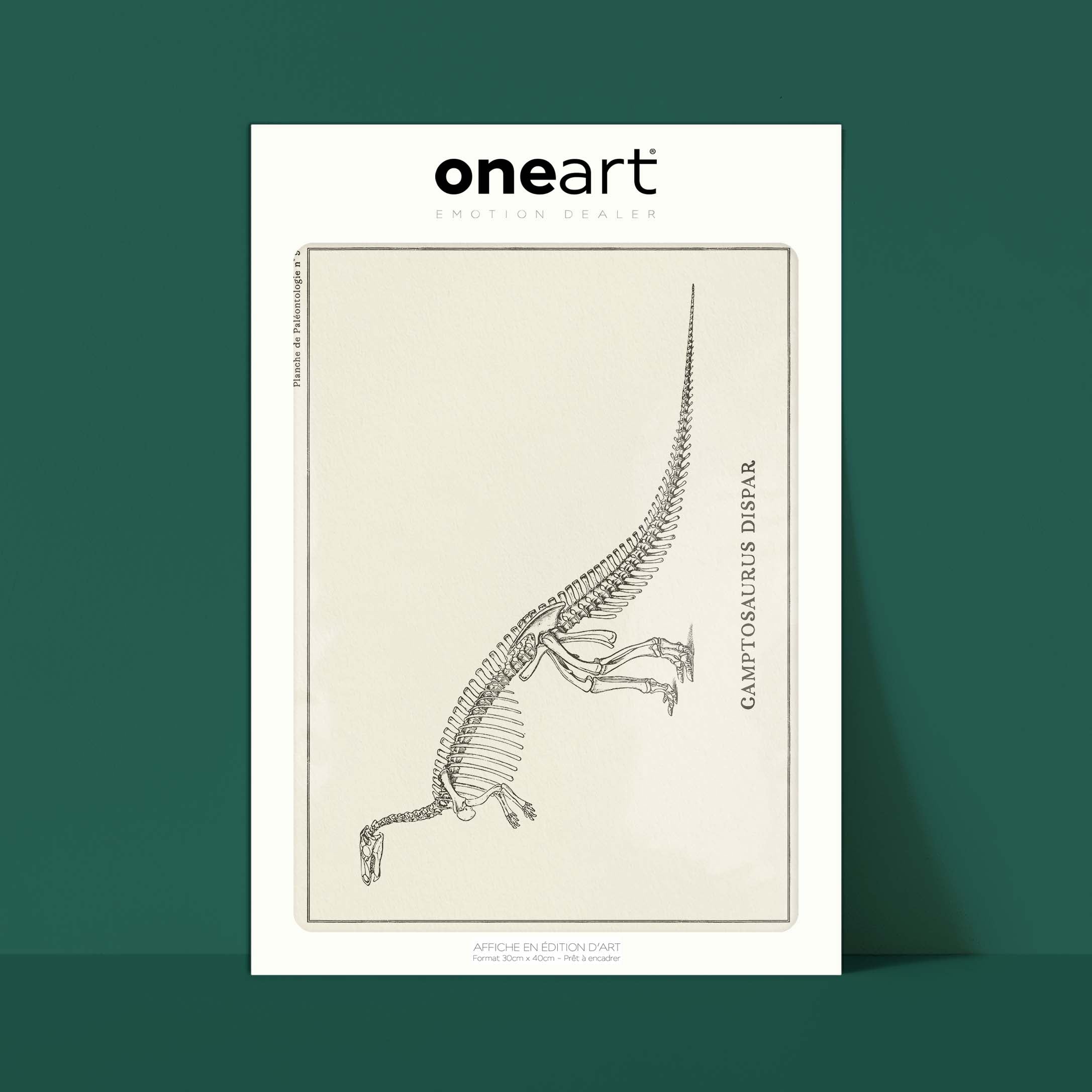 Affiche Dinosaure - Squelette de Camptosaure-oneart.fr