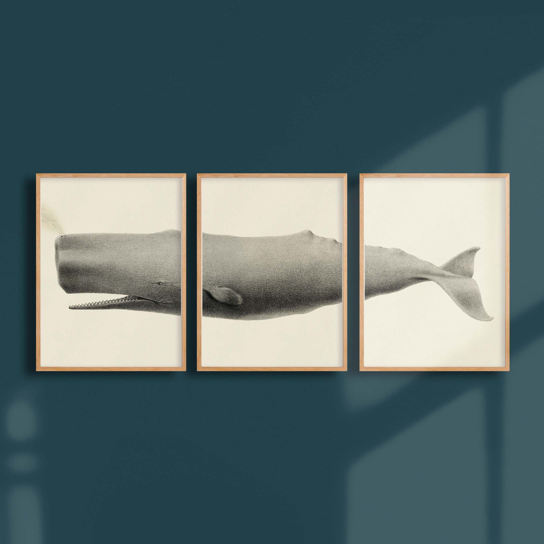 Triptyque - Le cachalot-oneart.fr