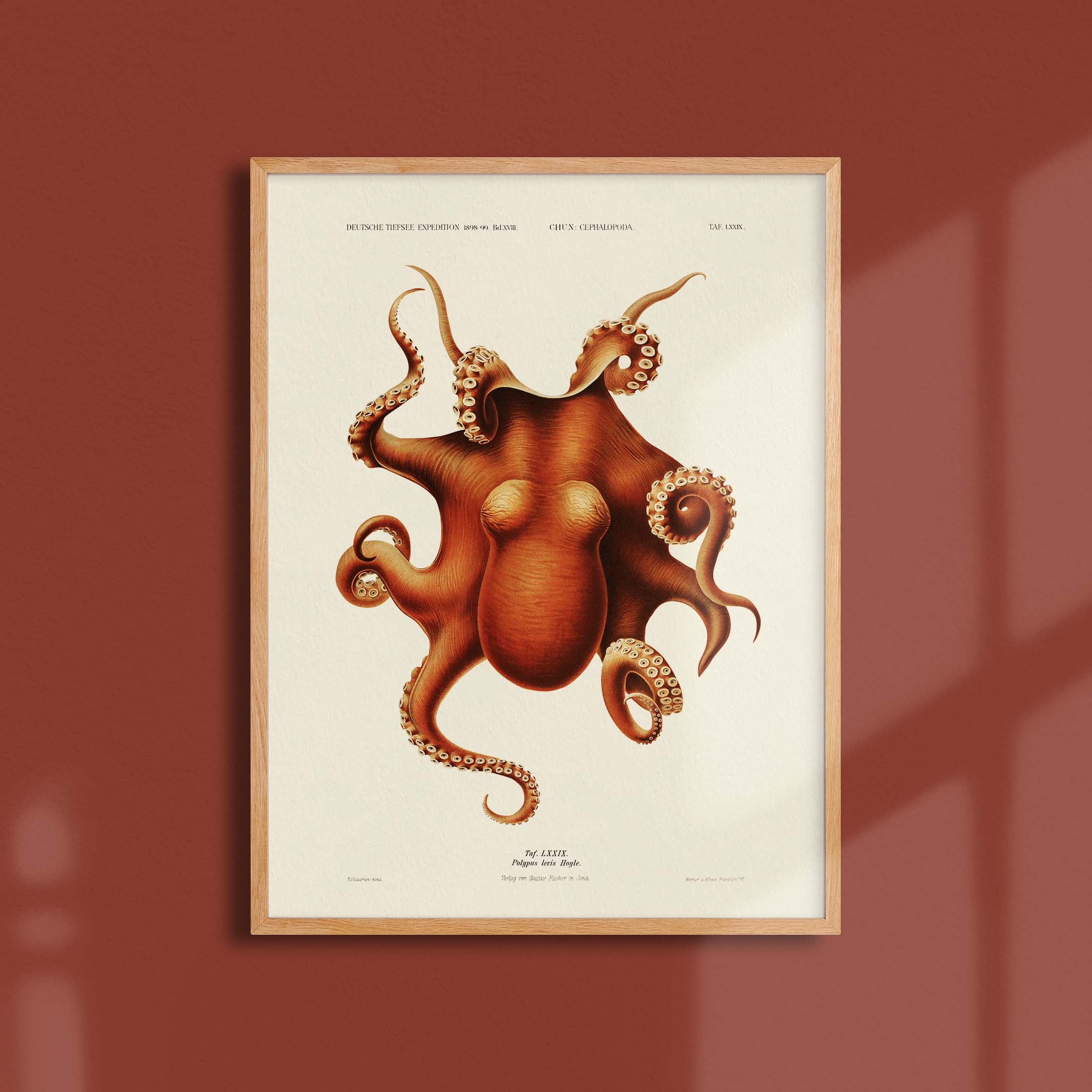 Affiche océan - Le poulpe-oneart.fr