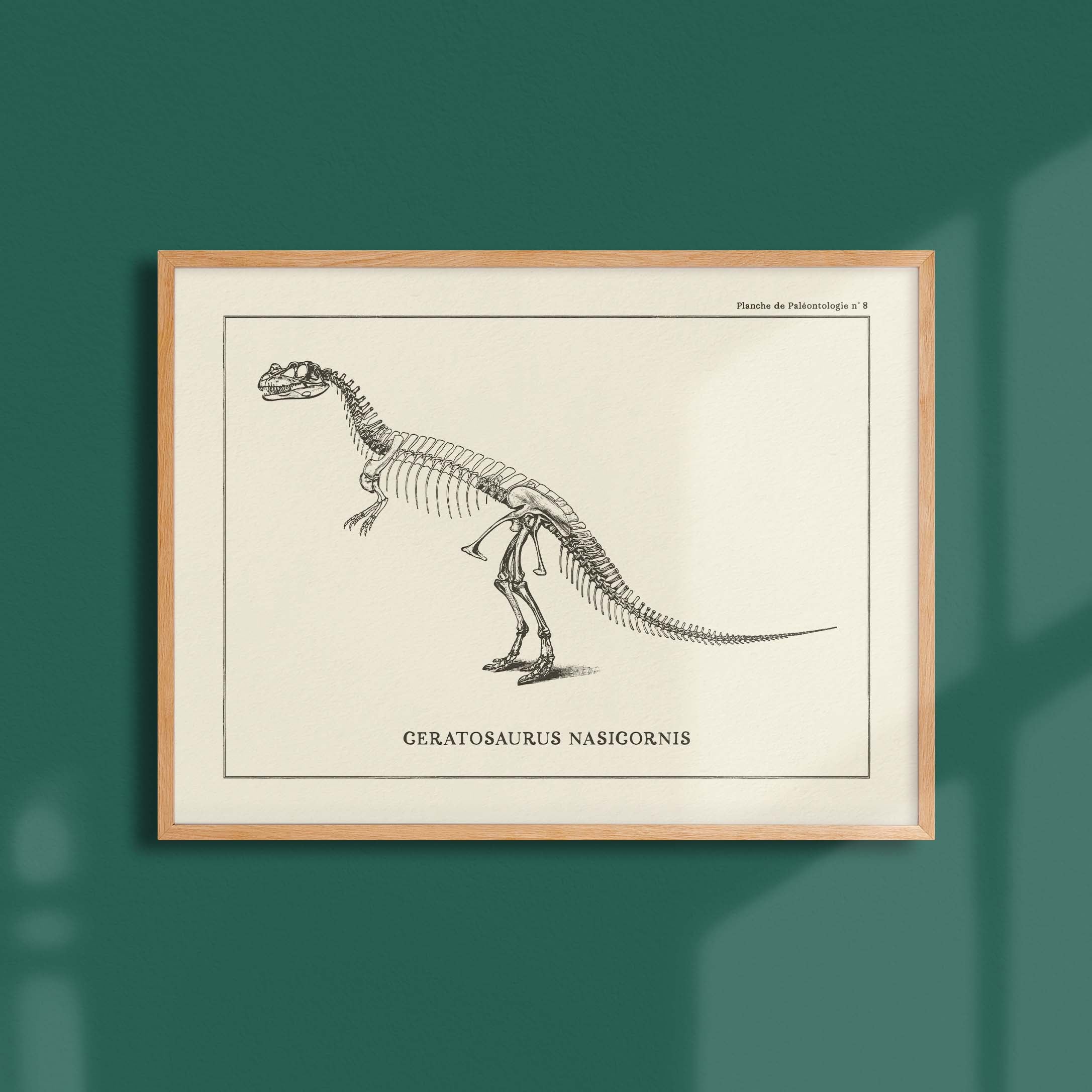 Affiche Dinosaure - Squelette de Ceratosaure-oneart.fr