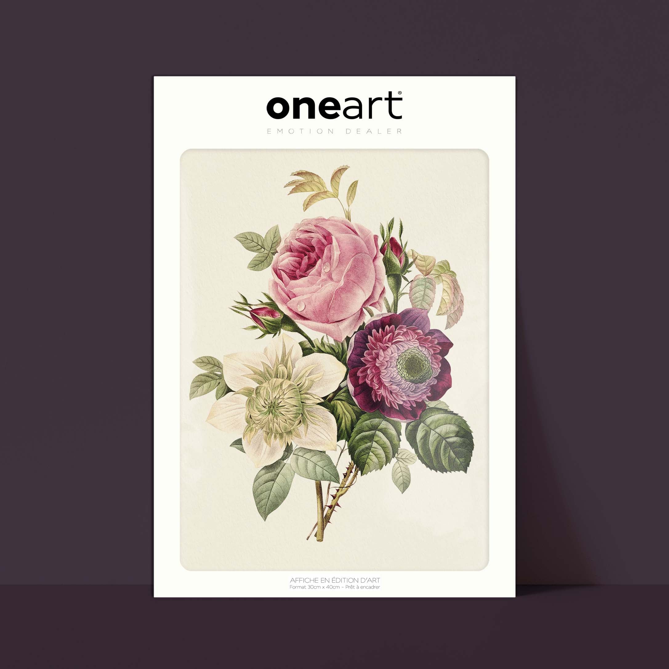Planche botanique - Rose - Anémone - Clématite-oneart.fr
