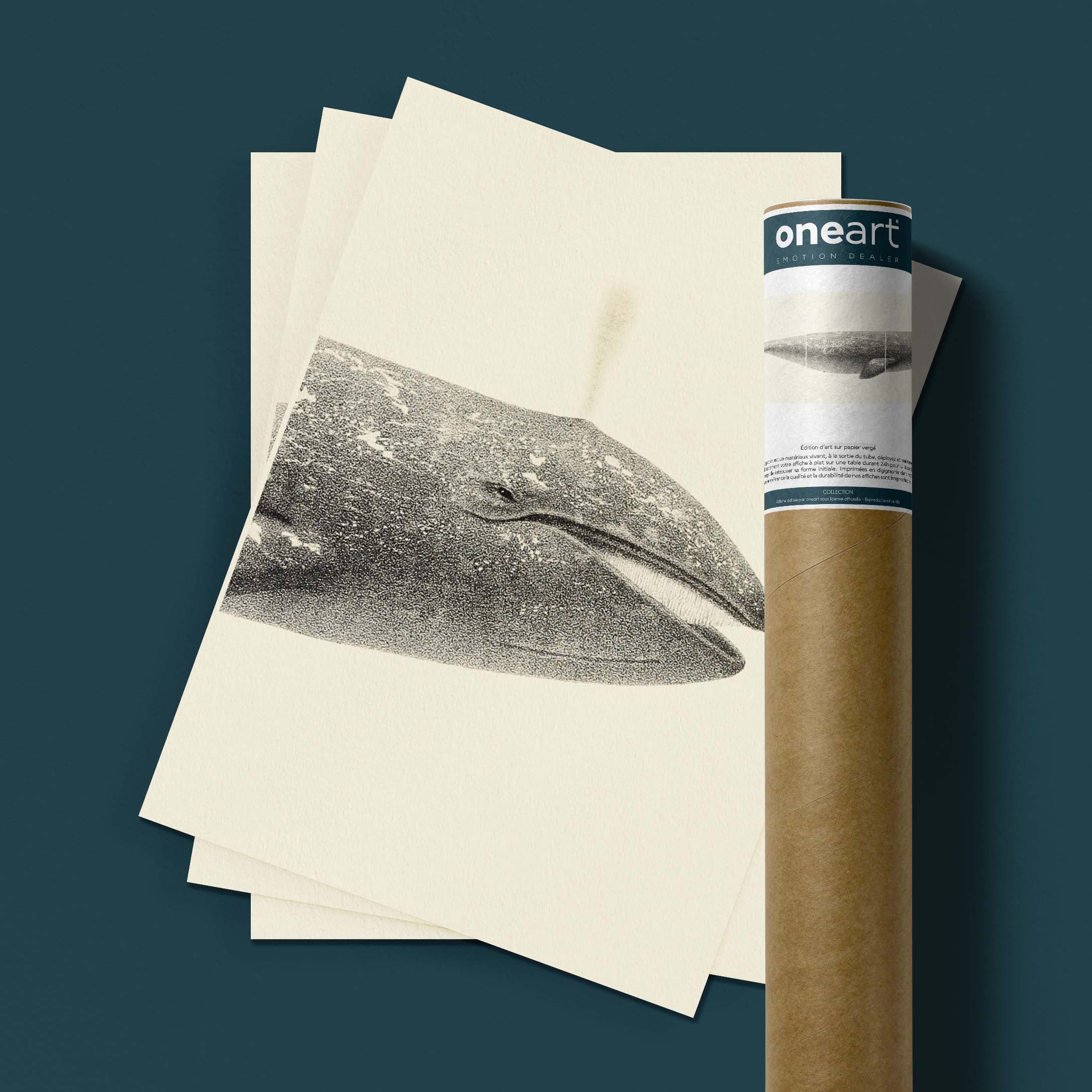 Triptyque - La baleine grise-oneart.fr