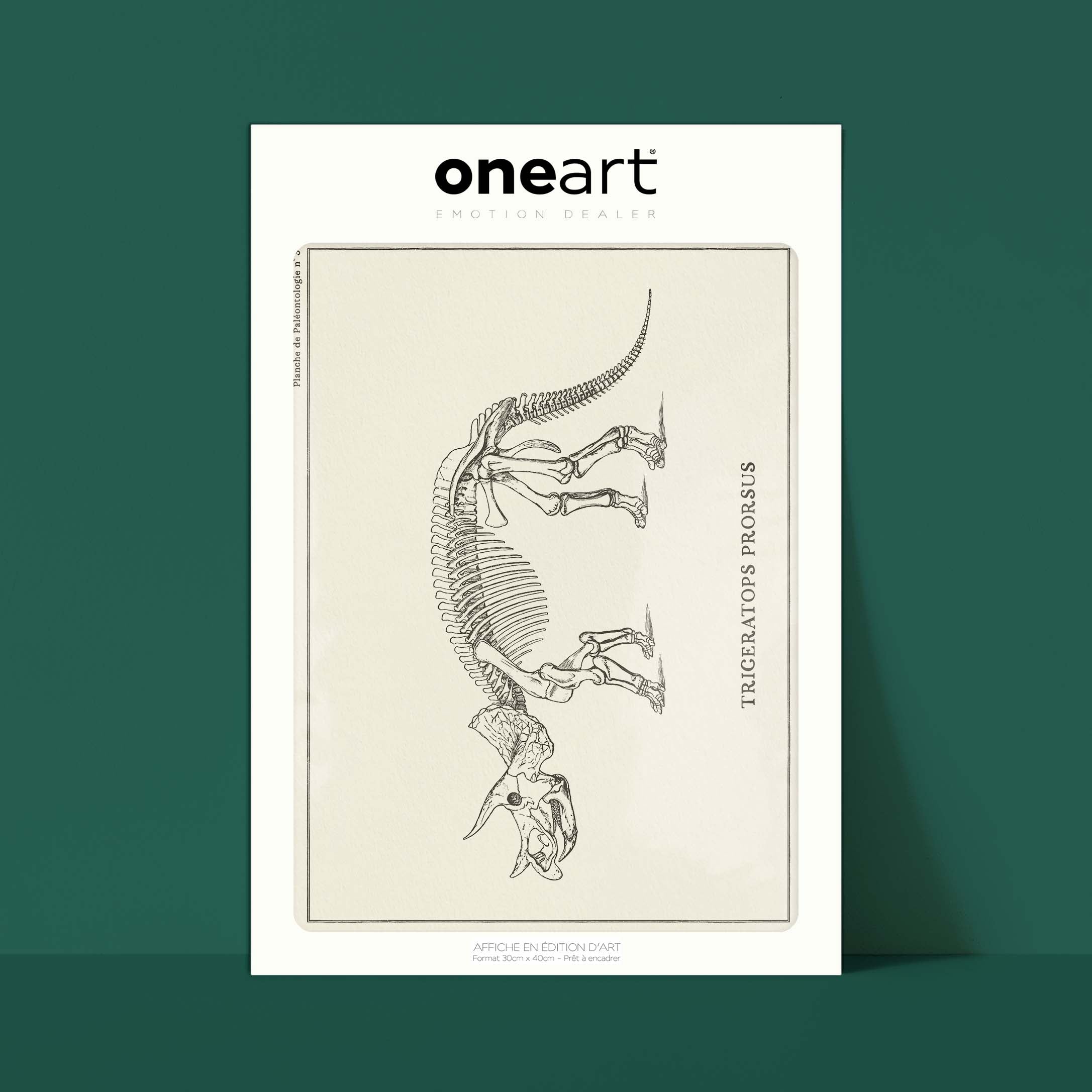 Affiche Dinosaure - Squelette de Triceratops-oneart.fr
