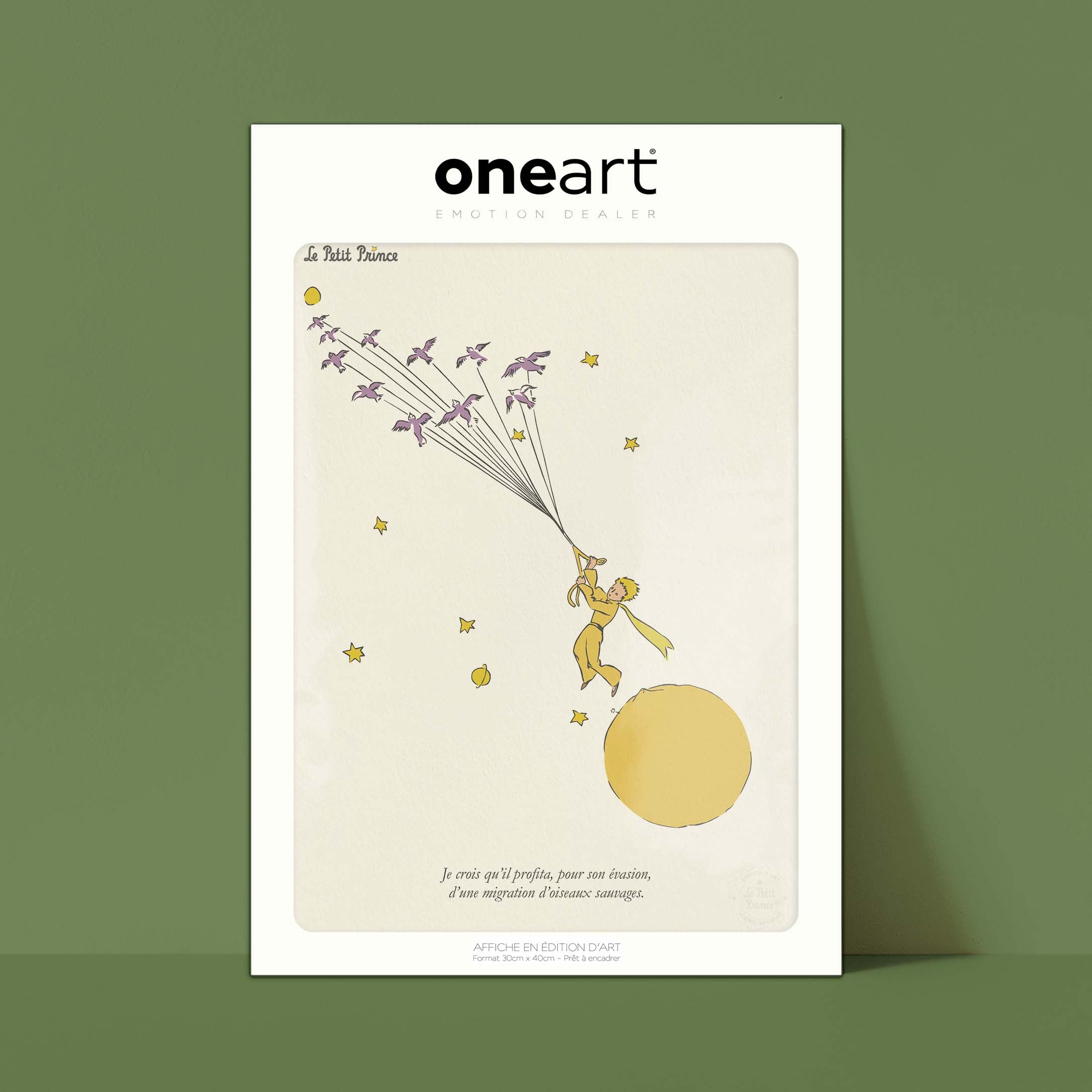 Affiche Le petit prince - Evasion-oneart.fr