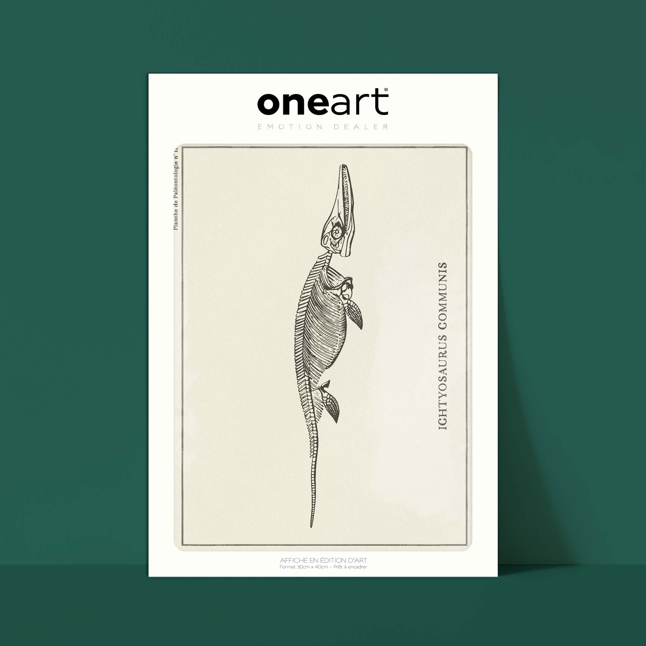Affiche Dinosaure - Squelette d'ichtyosaure-oneart.fr