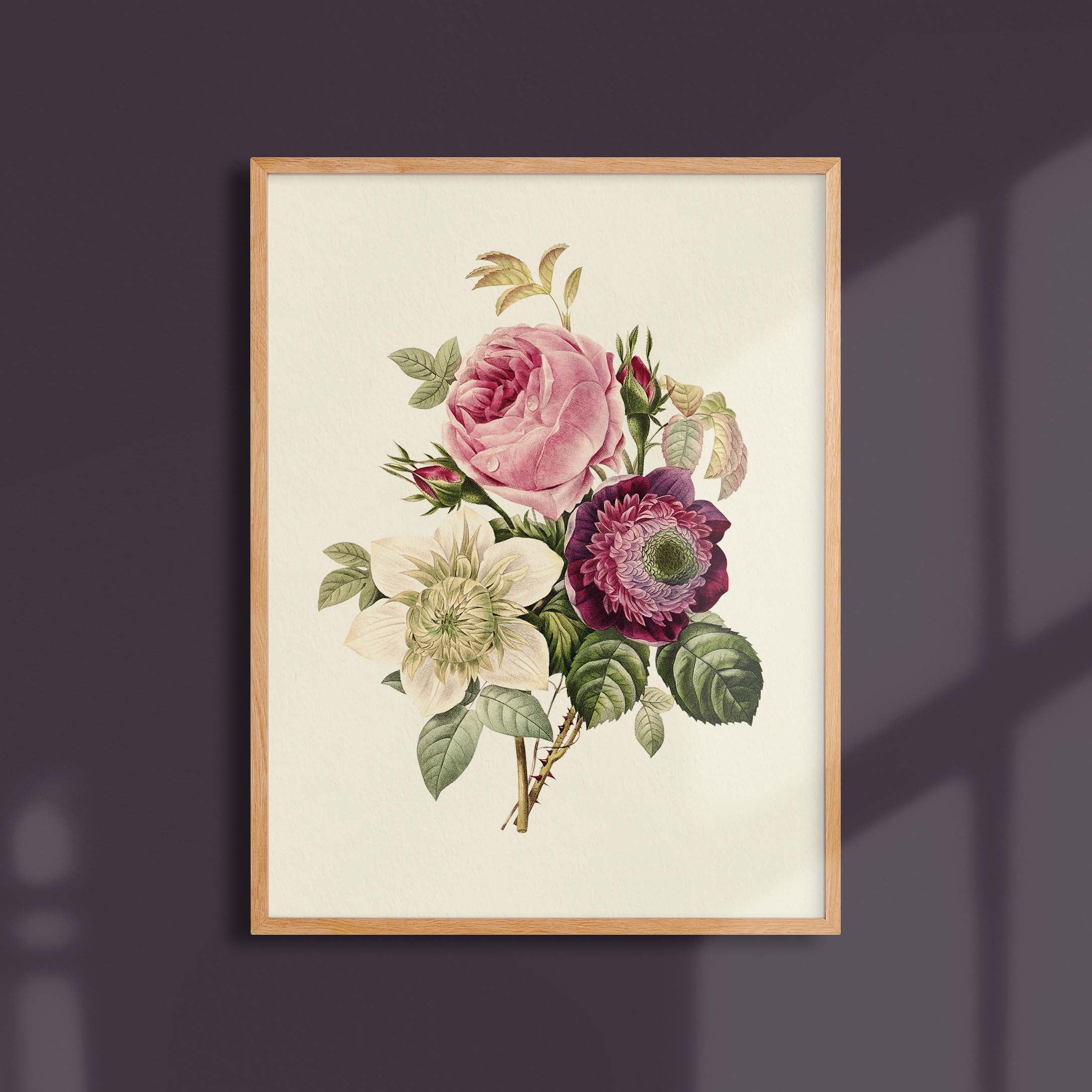 Planche botanique - Rose - Anémone - Clématite-oneart.fr