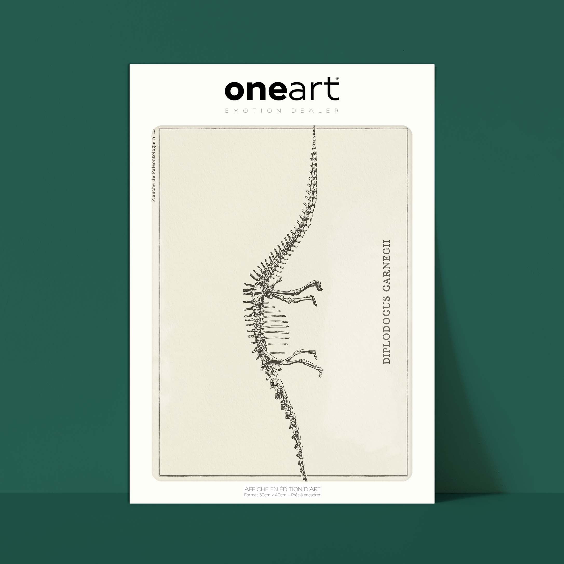 Affiche Dinosaure - Squelette de diplodocus-oneart.fr