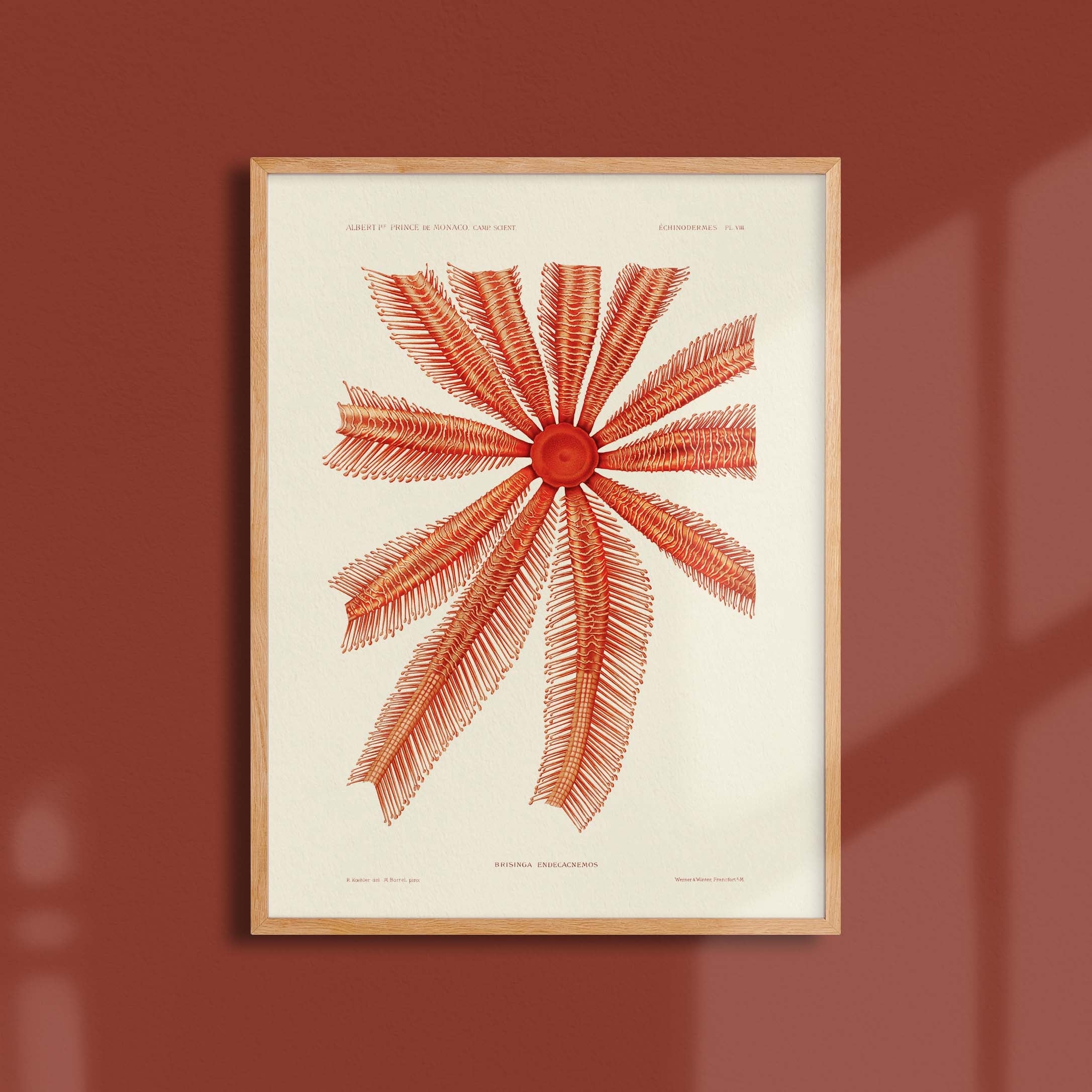 Affiche "Les Imparfaits" océan - Brisinga