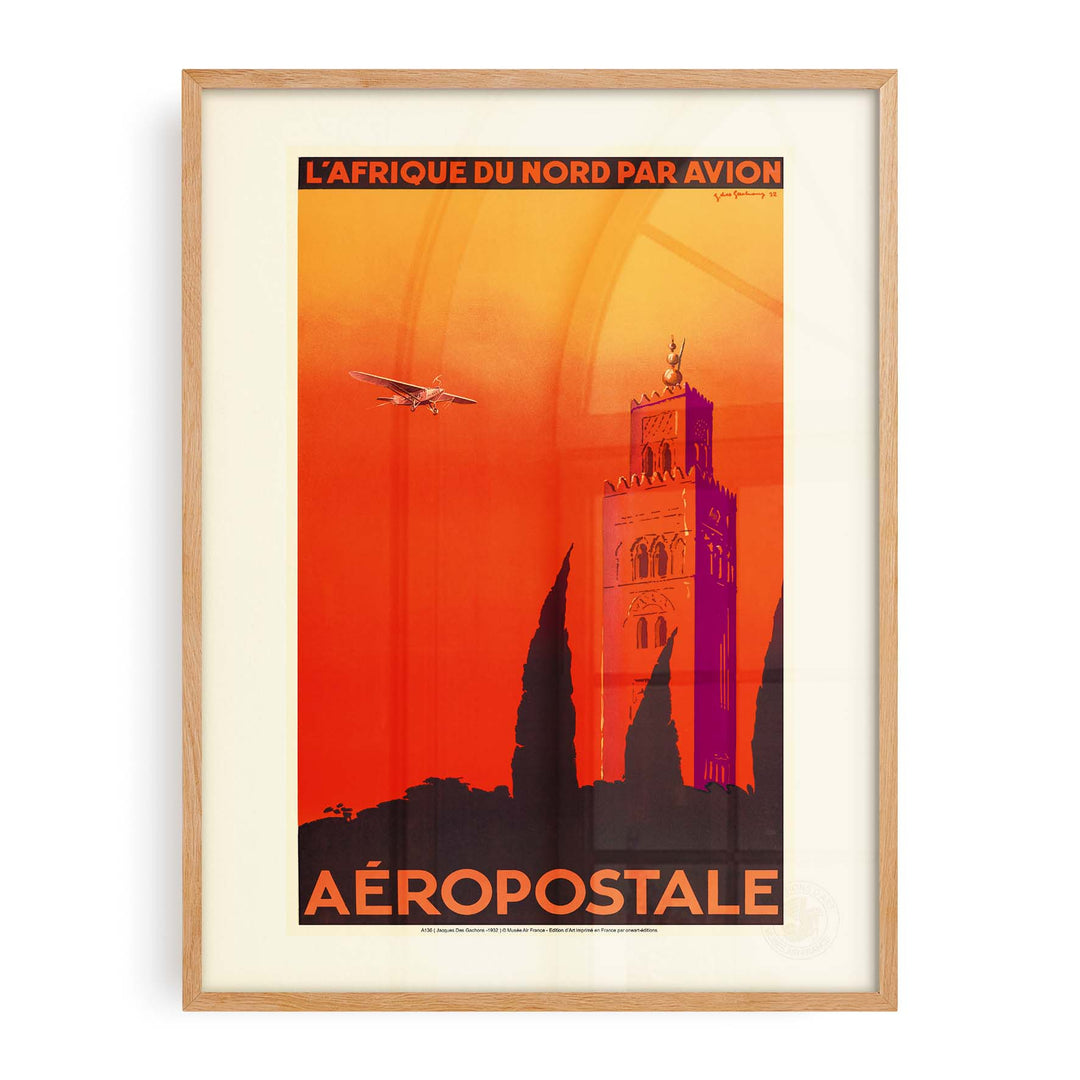 Air France poster - North Africa by plane