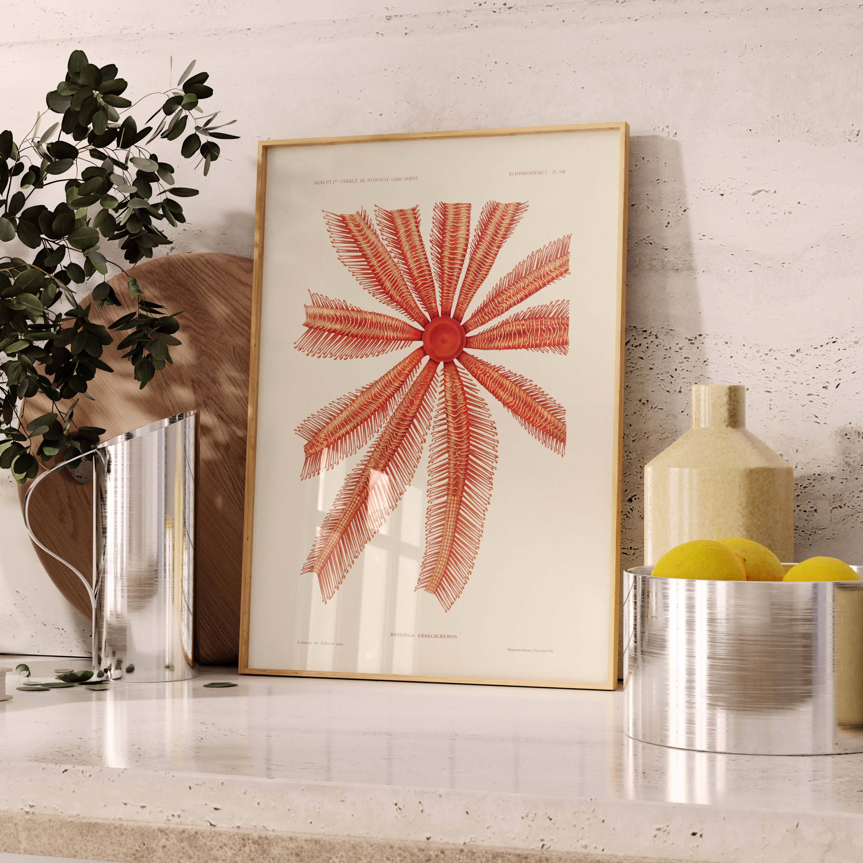 Affiche "Les Imparfaits" océan - Brisinga