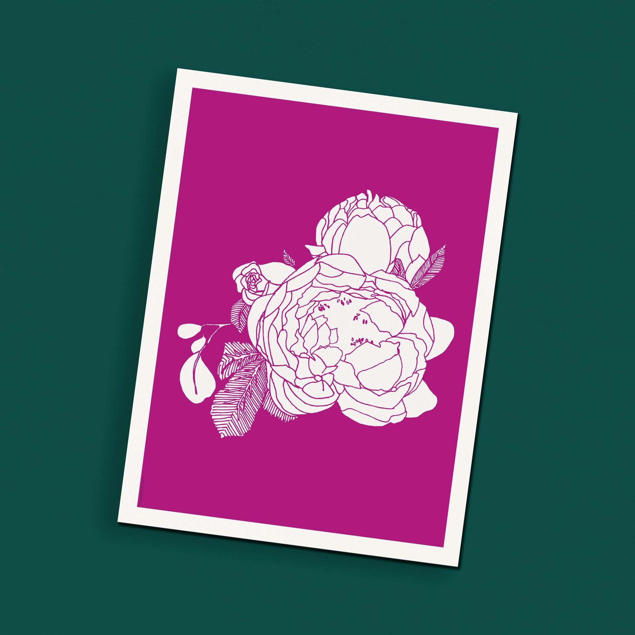 Affiche atelierDAZAT Pivoine coloré