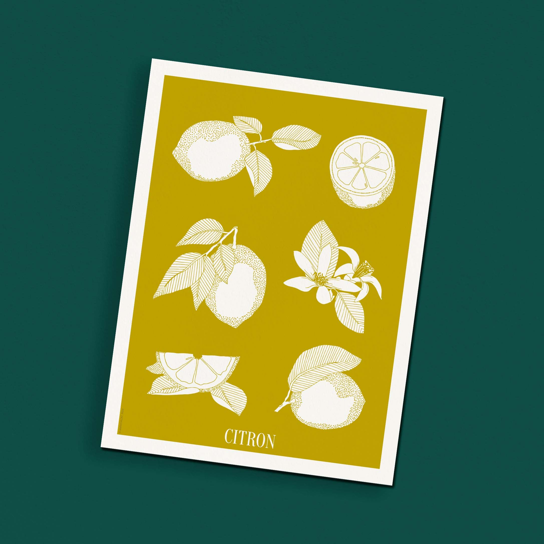 Affiche atelierDAZAT Citron coloré