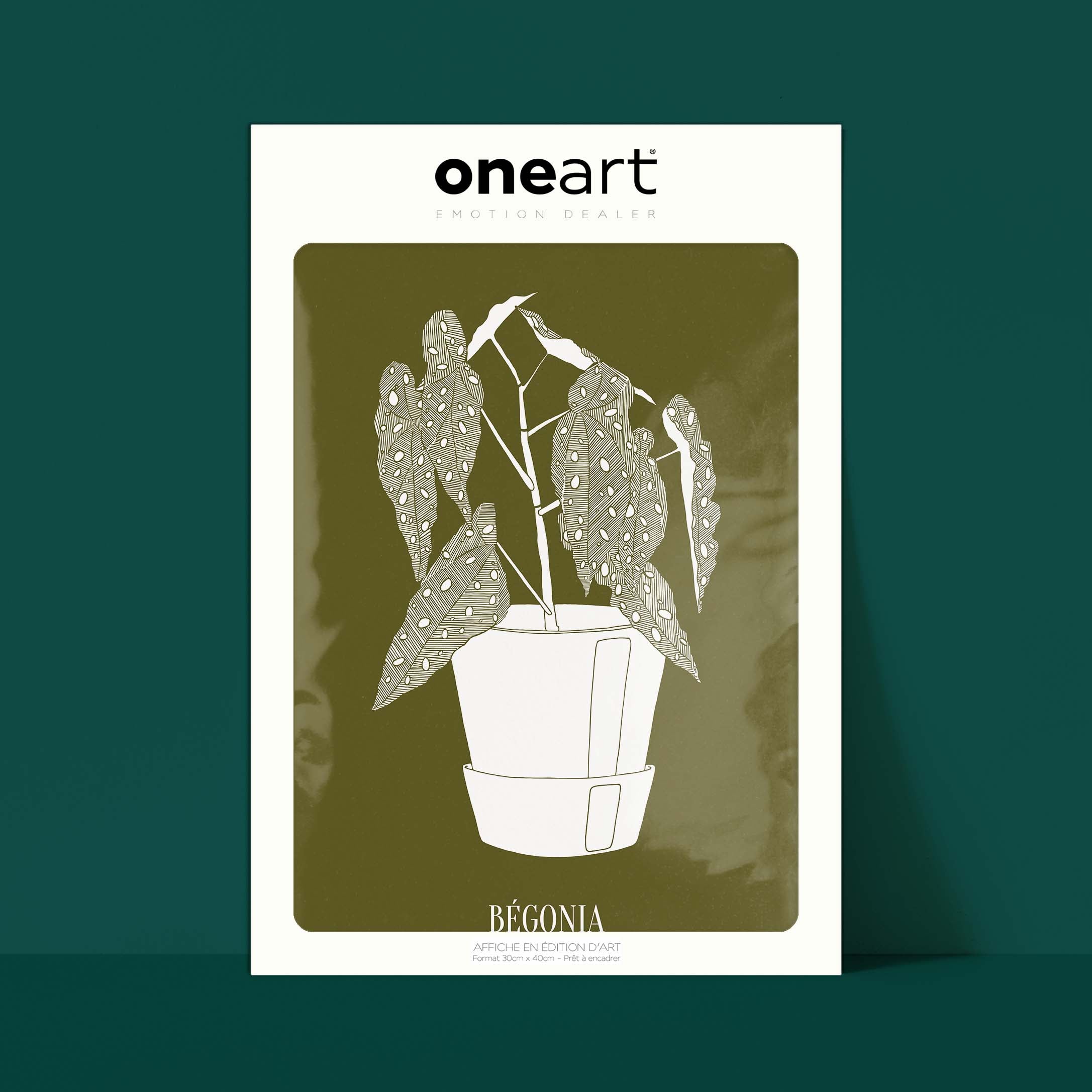 Affiche atelierDAZAT Begonia coloré