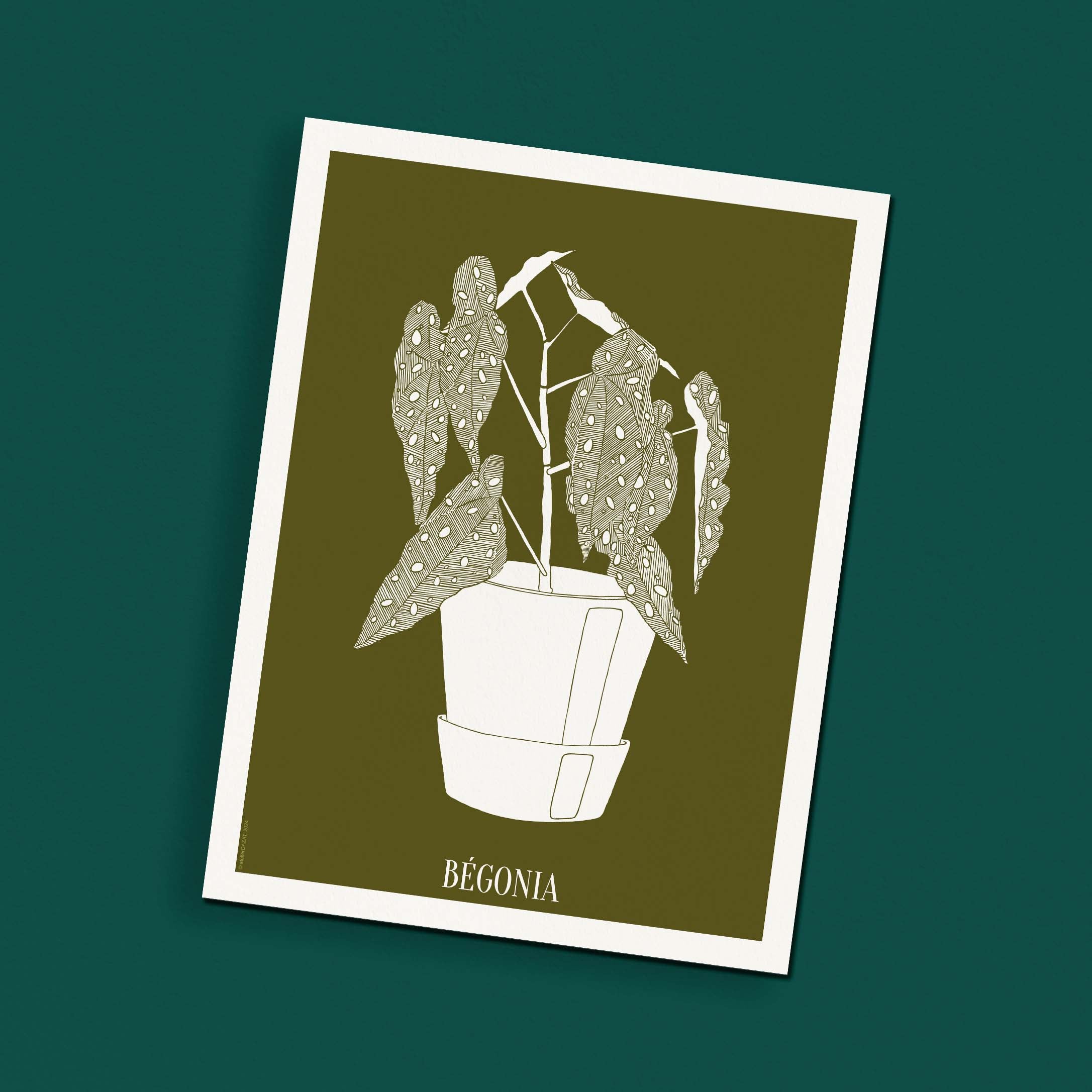 Affiche atelierDAZAT Begonia coloré