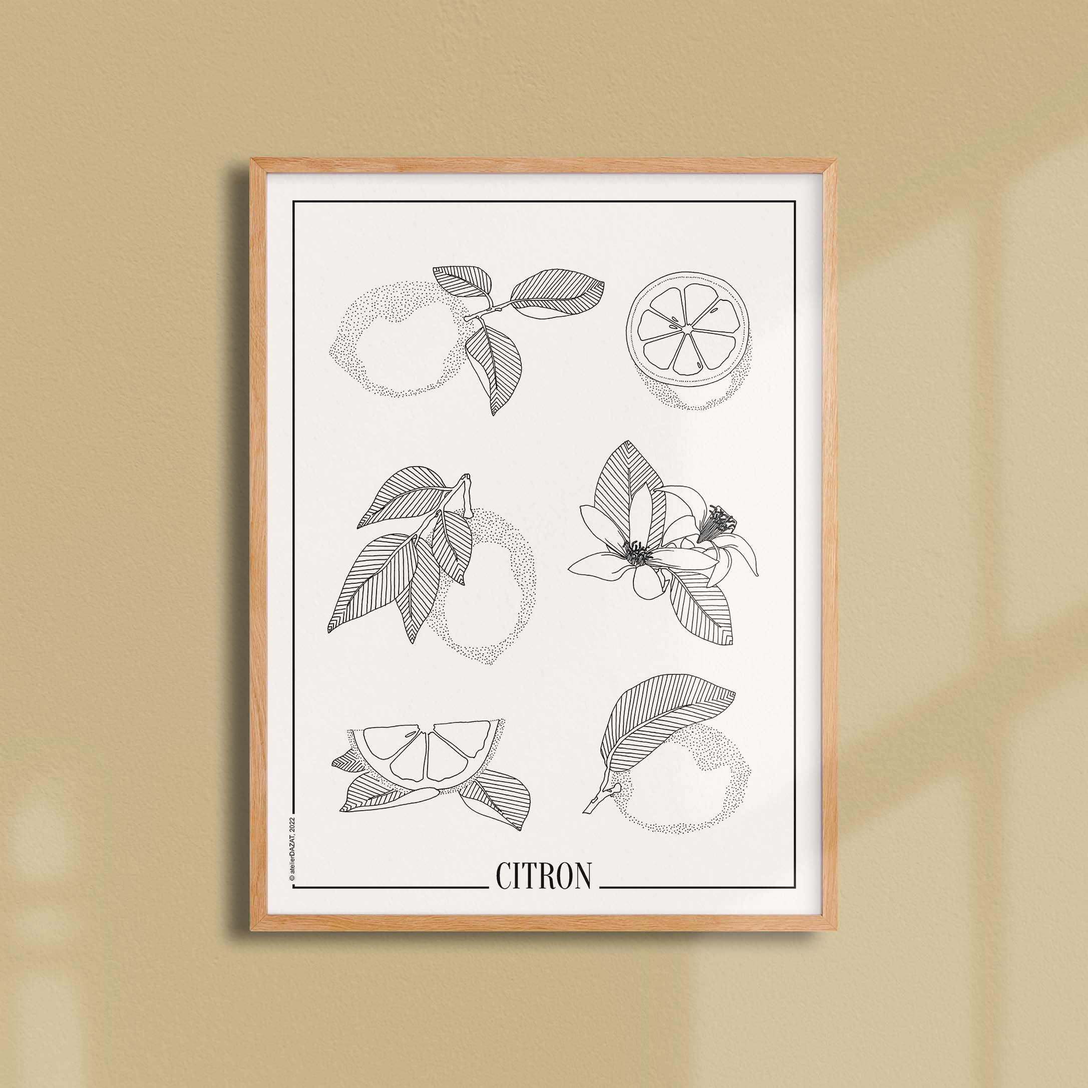 Affiche atelierDAZAT Citron-oneart.fr