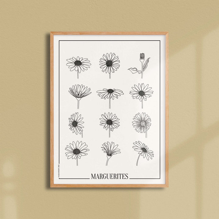 Affiche atelierDAZAT Marguerites