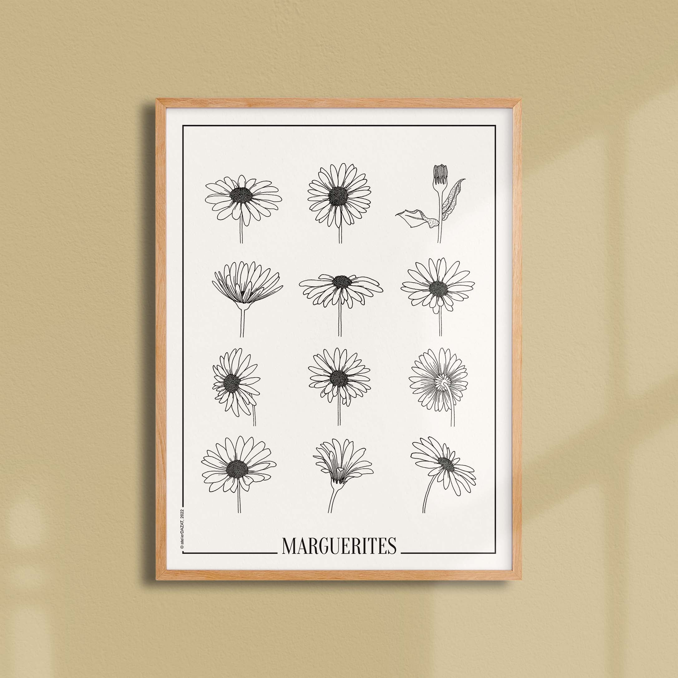 Affiche "Les Imparfaits" atelierDAZAT Marguerites