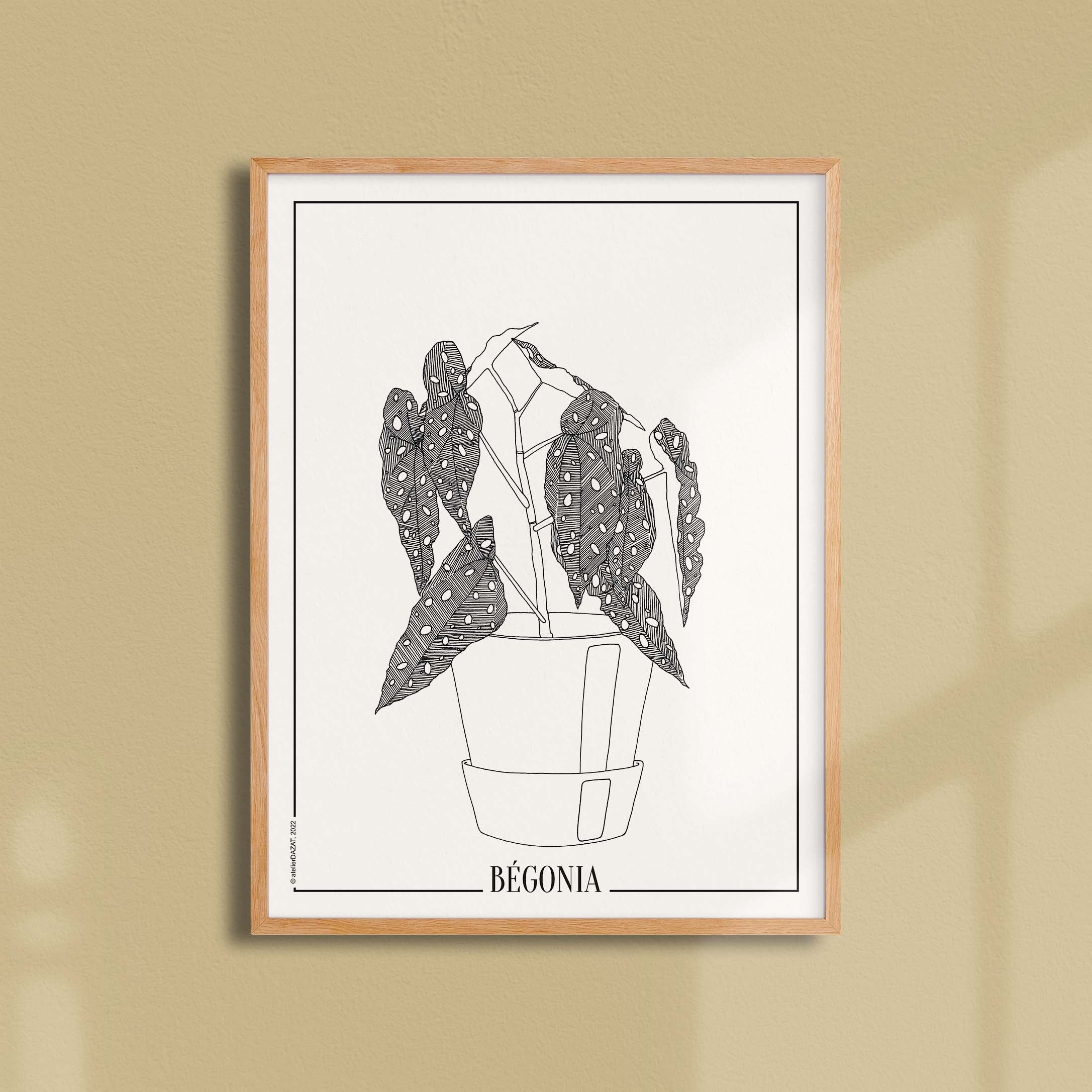 Affiche atelierDAZAT Begonia-oneart.fr